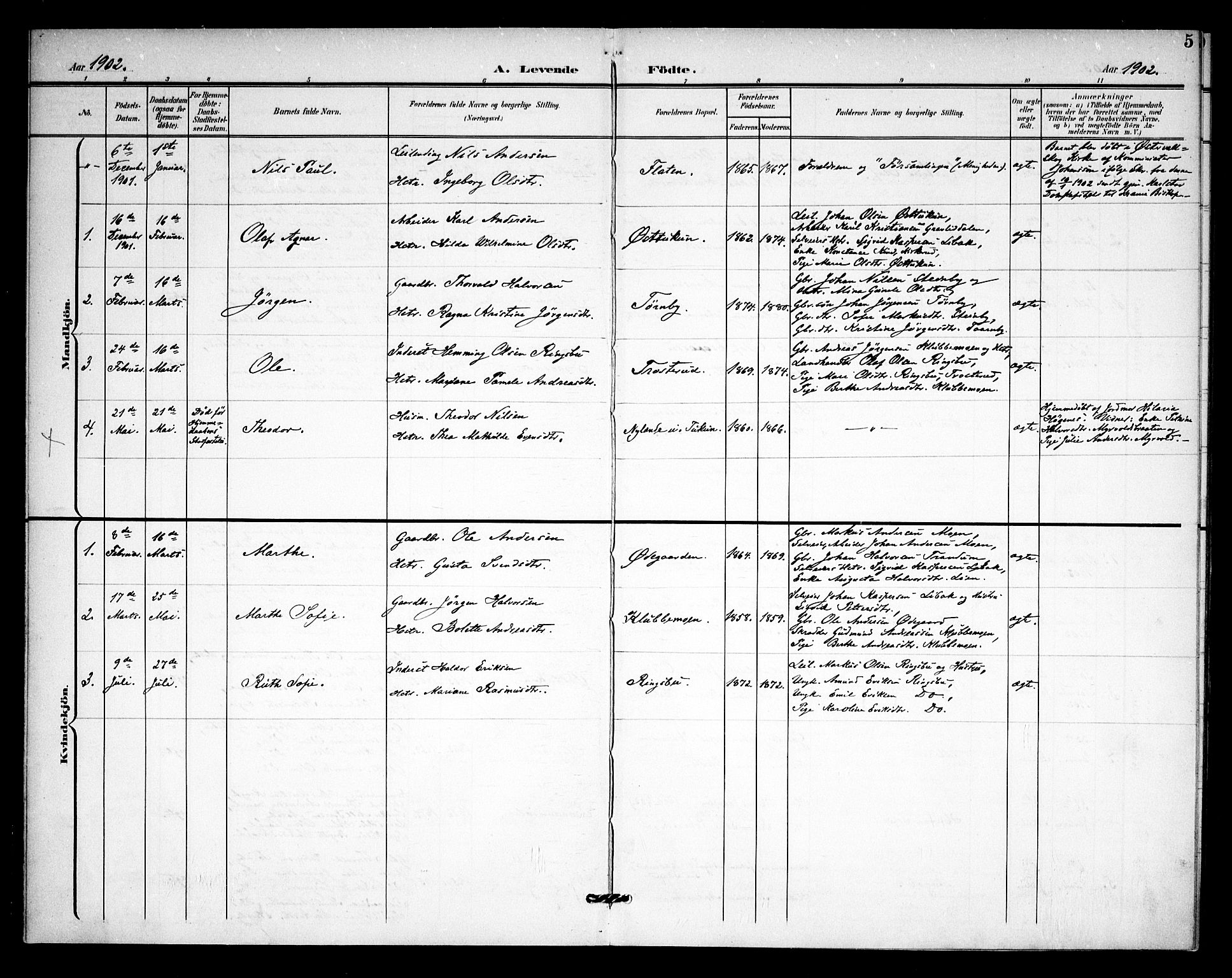 Rødenes prestekontor Kirkebøker, AV/SAO-A-2005/F/Fb/L0003: Parish register (official) no. II 3, 1901-1910, p. 5