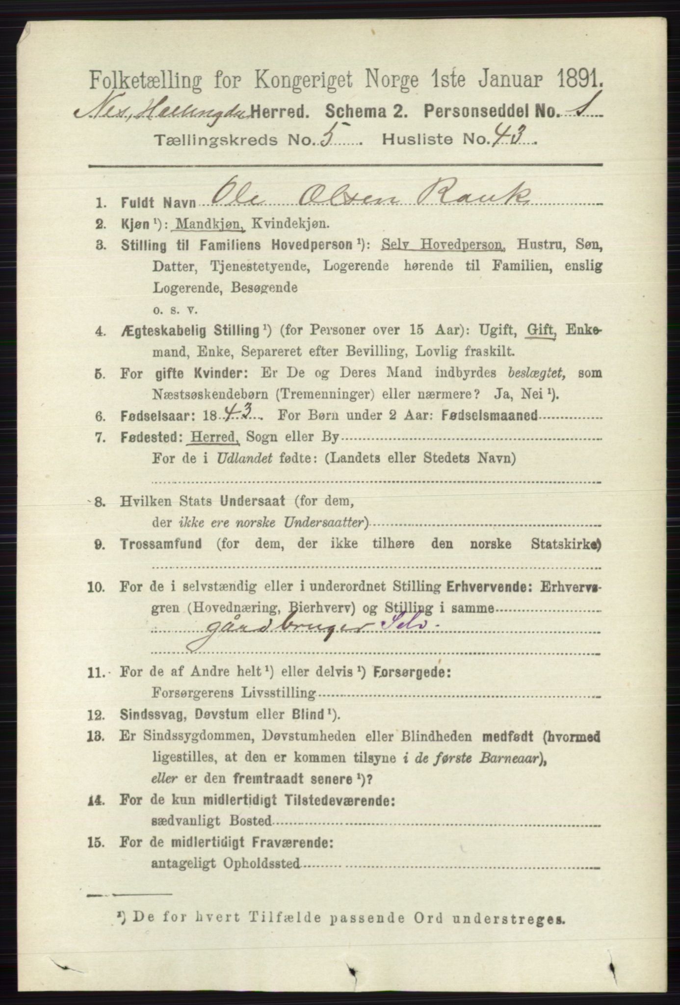 RA, 1891 census for 0616 Nes, 1891, p. 2862