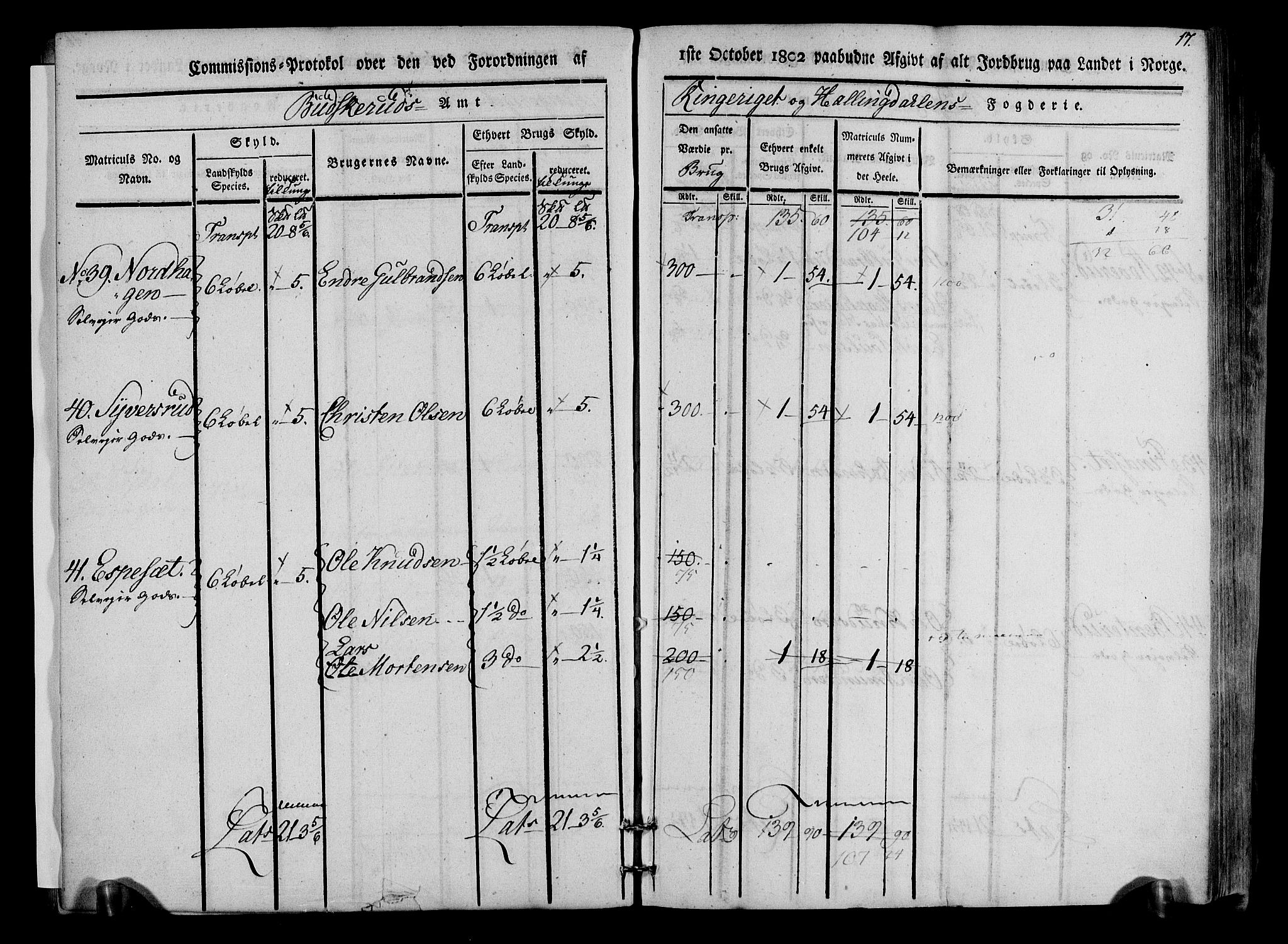 Rentekammeret inntil 1814, Realistisk ordnet avdeling, AV/RA-EA-4070/N/Ne/Nea/L0047: Ringerike og Hallingdal fogderi. Kommisjonsprotokoll for Nes prestegjeld, 1803, p. 18