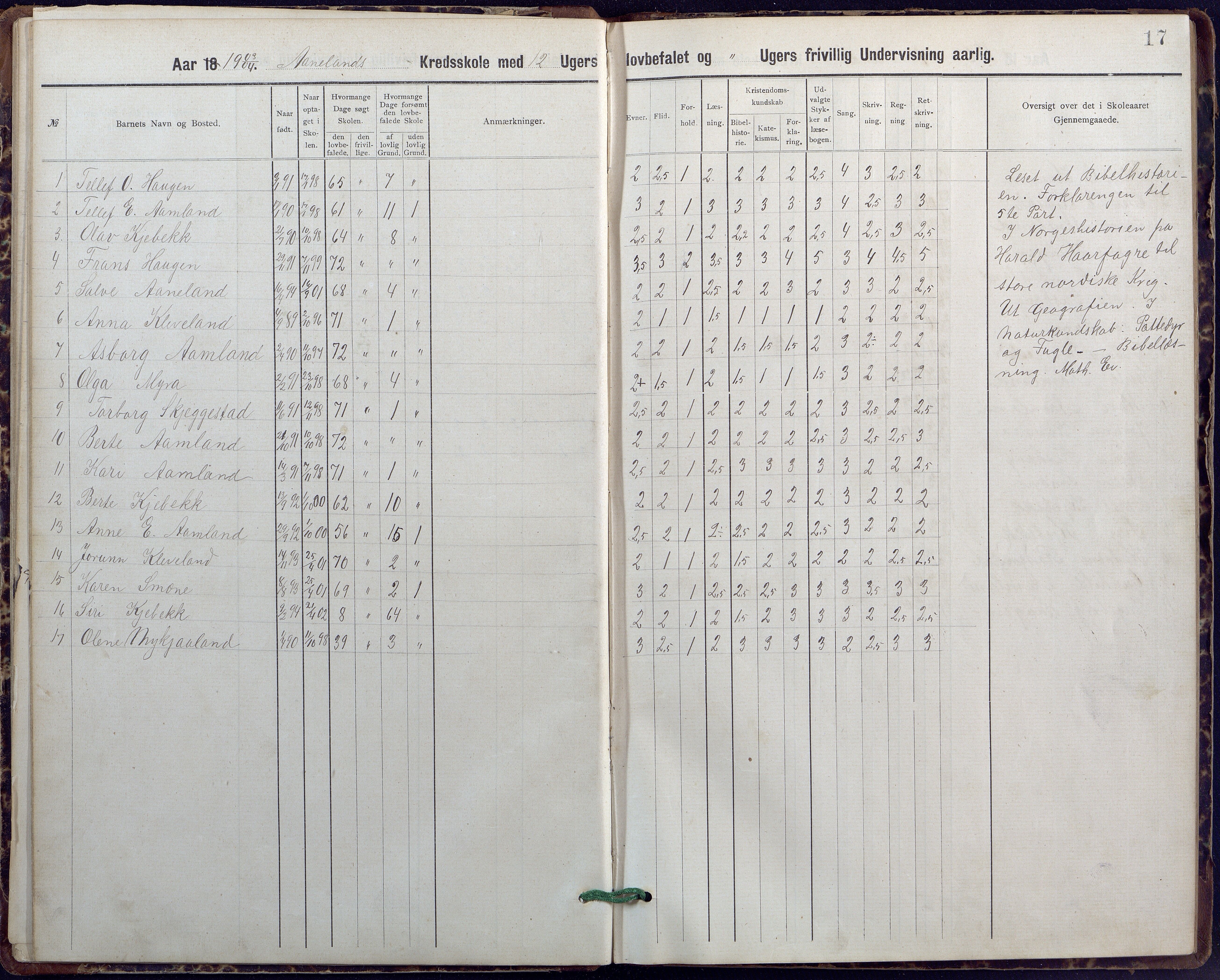 Evje kommune, Ånesland/Omland/Kleveland skolekrets, AAKS/KA0937-550f/F2/L0001: Skoleprotokoll for Aaneland og Omlands kreds, 1899-1909, p. 17