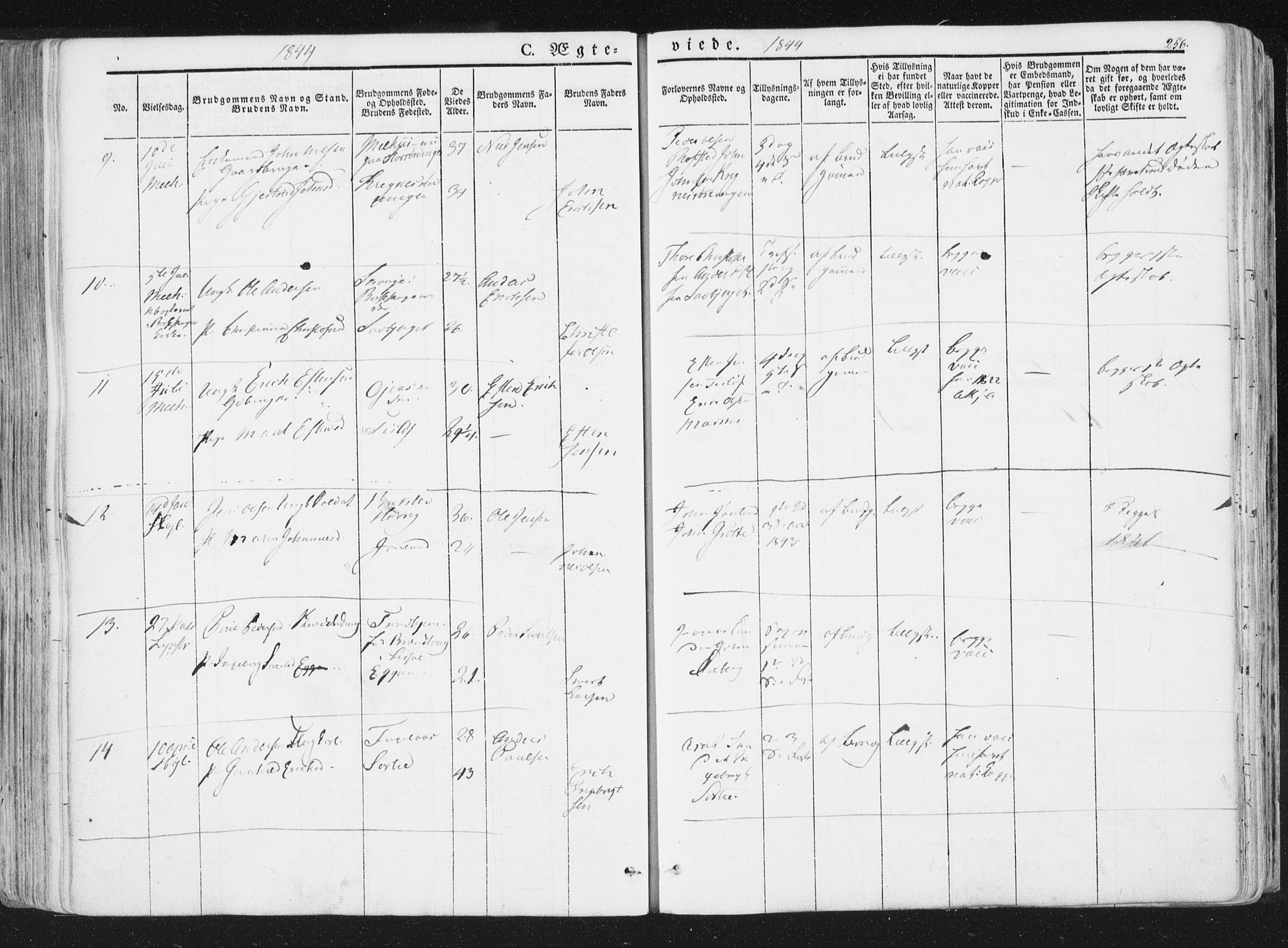 Ministerialprotokoller, klokkerbøker og fødselsregistre - Sør-Trøndelag, AV/SAT-A-1456/691/L1074: Parish register (official) no. 691A06, 1842-1852, p. 256