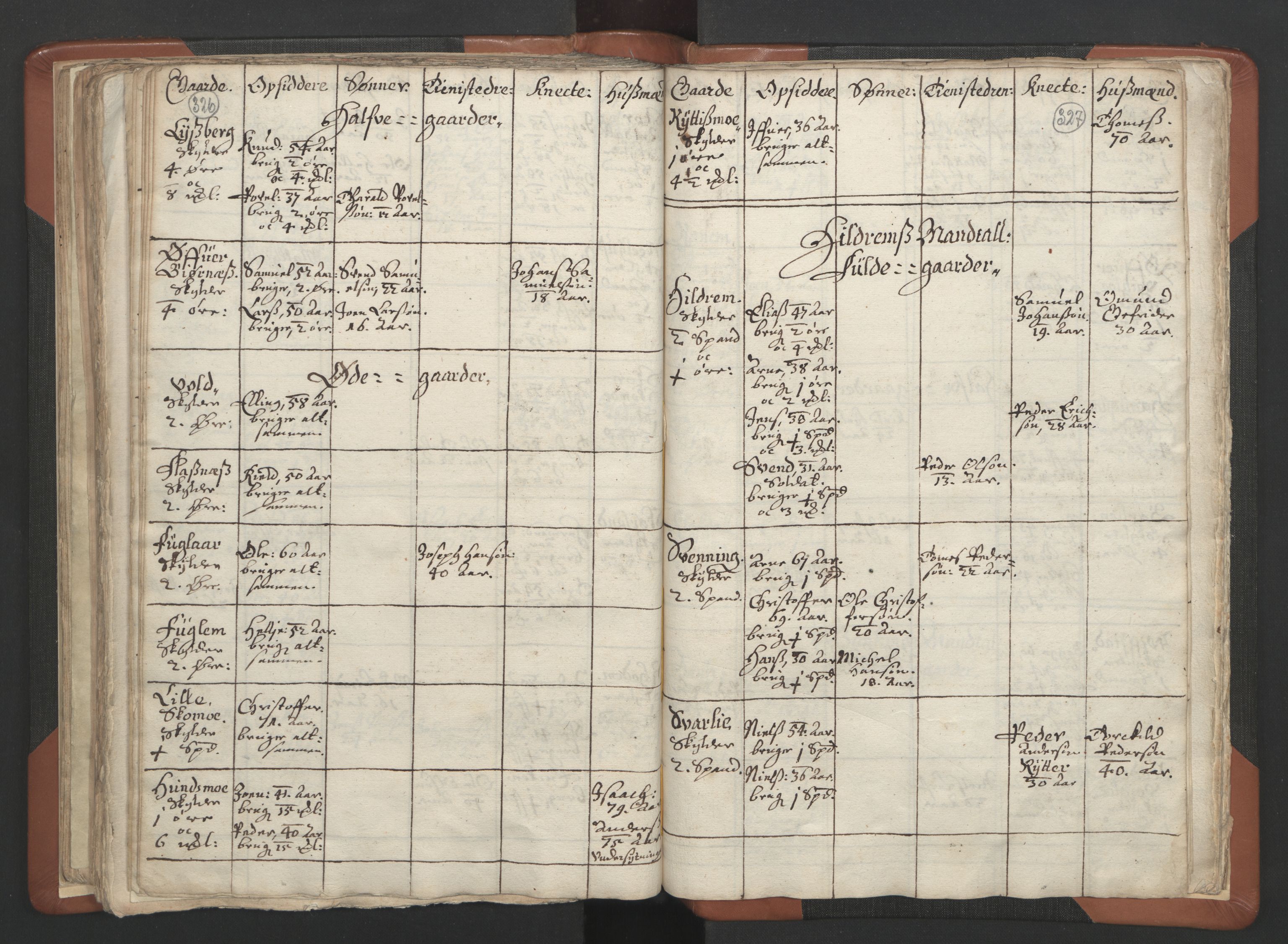 RA, Vicar's Census 1664-1666, no. 34: Namdal deanery, 1664-1666, p. 326-327