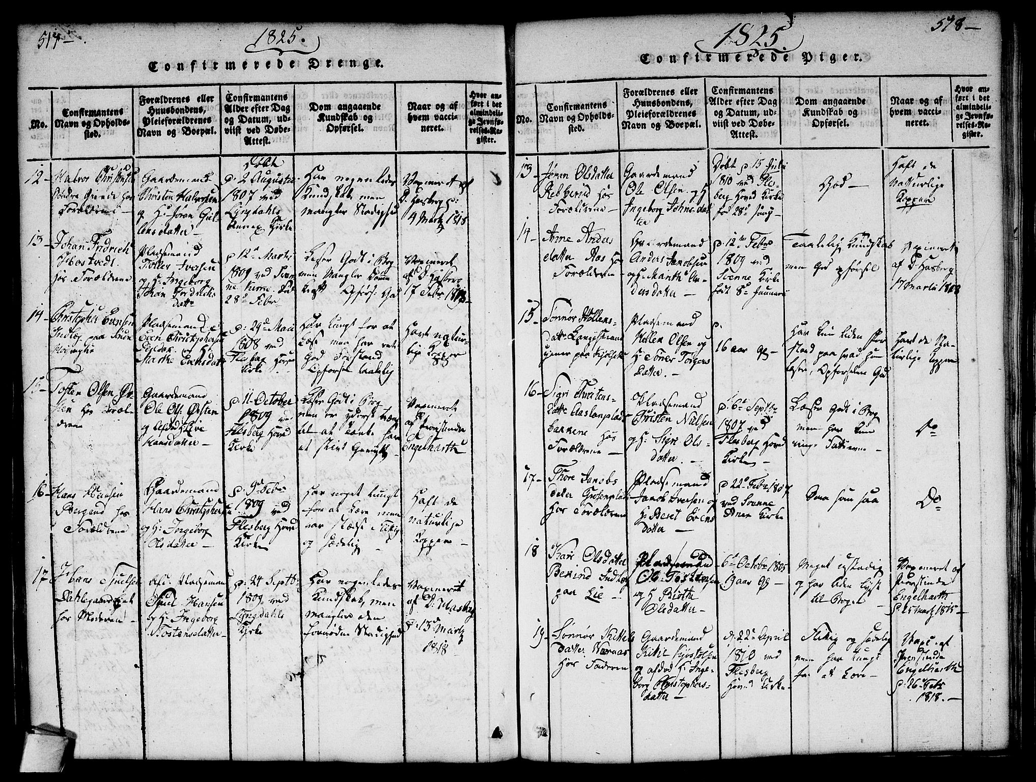 Flesberg kirkebøker, AV/SAKO-A-18/G/Ga/L0001: Parish register (copy) no. I 1, 1816-1834, p. 517-518