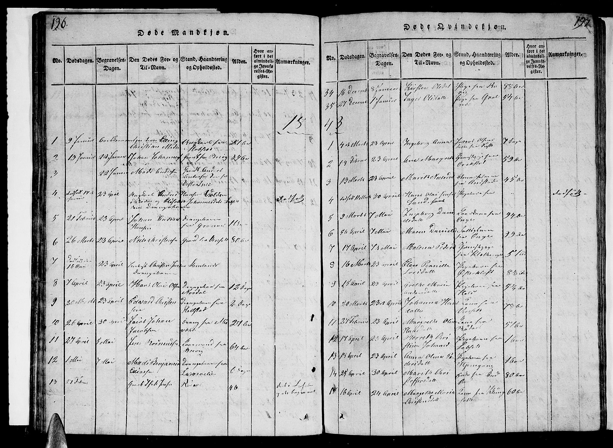 Ministerialprotokoller, klokkerbøker og fødselsregistre - Nordland, AV/SAT-A-1459/852/L0752: Parish register (copy) no. 852C03, 1840-1855, p. 196-197