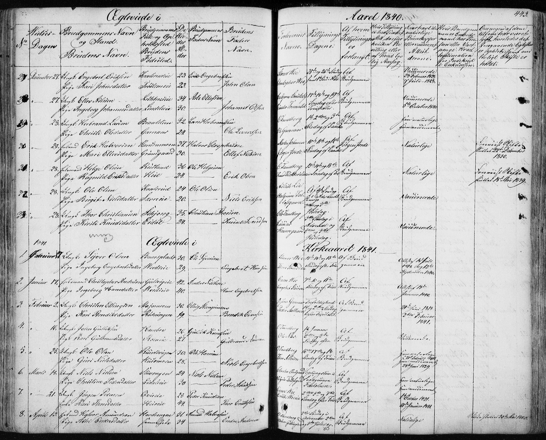 Nes kirkebøker, SAKO/A-236/F/Fa/L0009: Parish register (official) no. 9, 1834-1863, p. 443