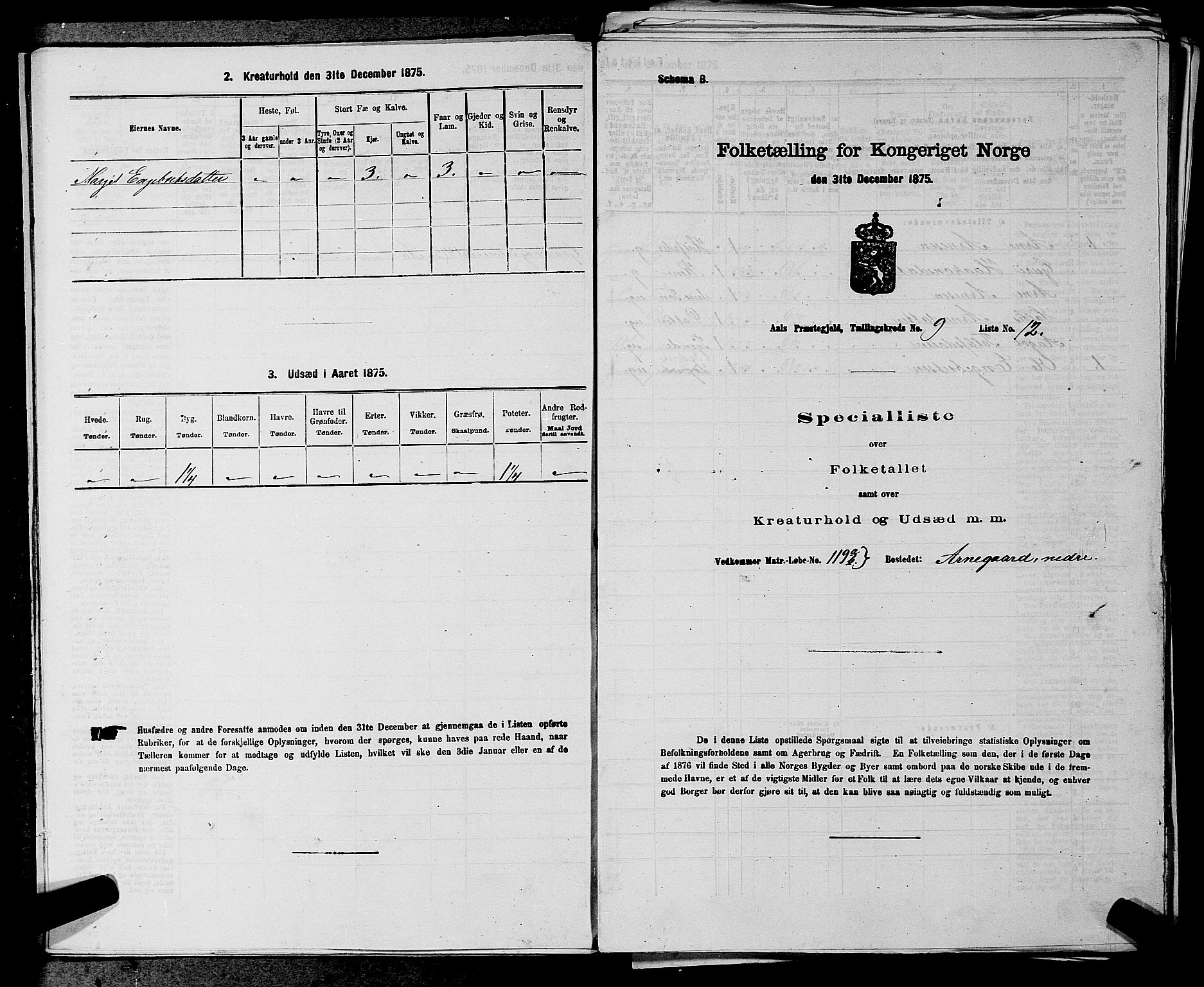 SAKO, 1875 census for 0619P Ål, 1875, p. 1115