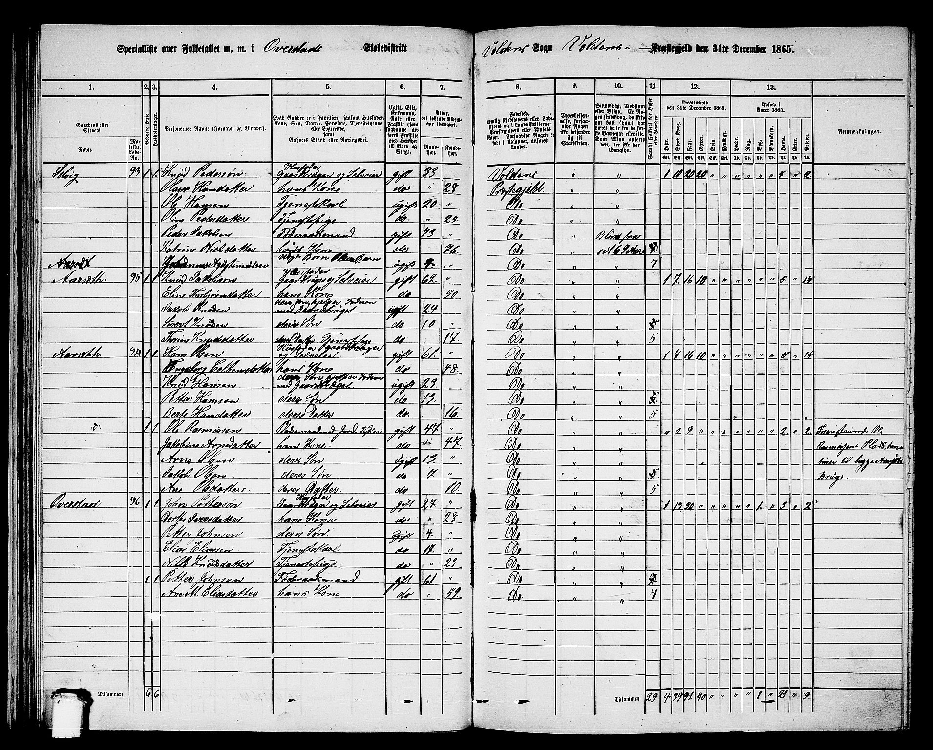 RA, 1865 census for Volda, 1865, p. 55