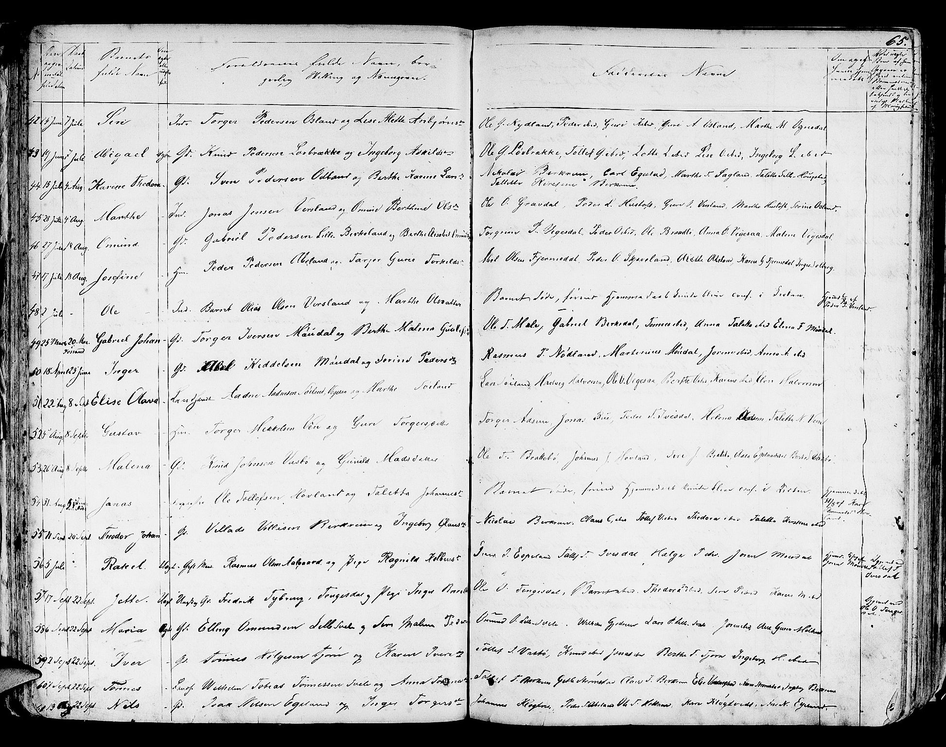 Helleland sokneprestkontor, AV/SAST-A-101810: Parish register (copy) no. B 3, 1847-1886, p. 65