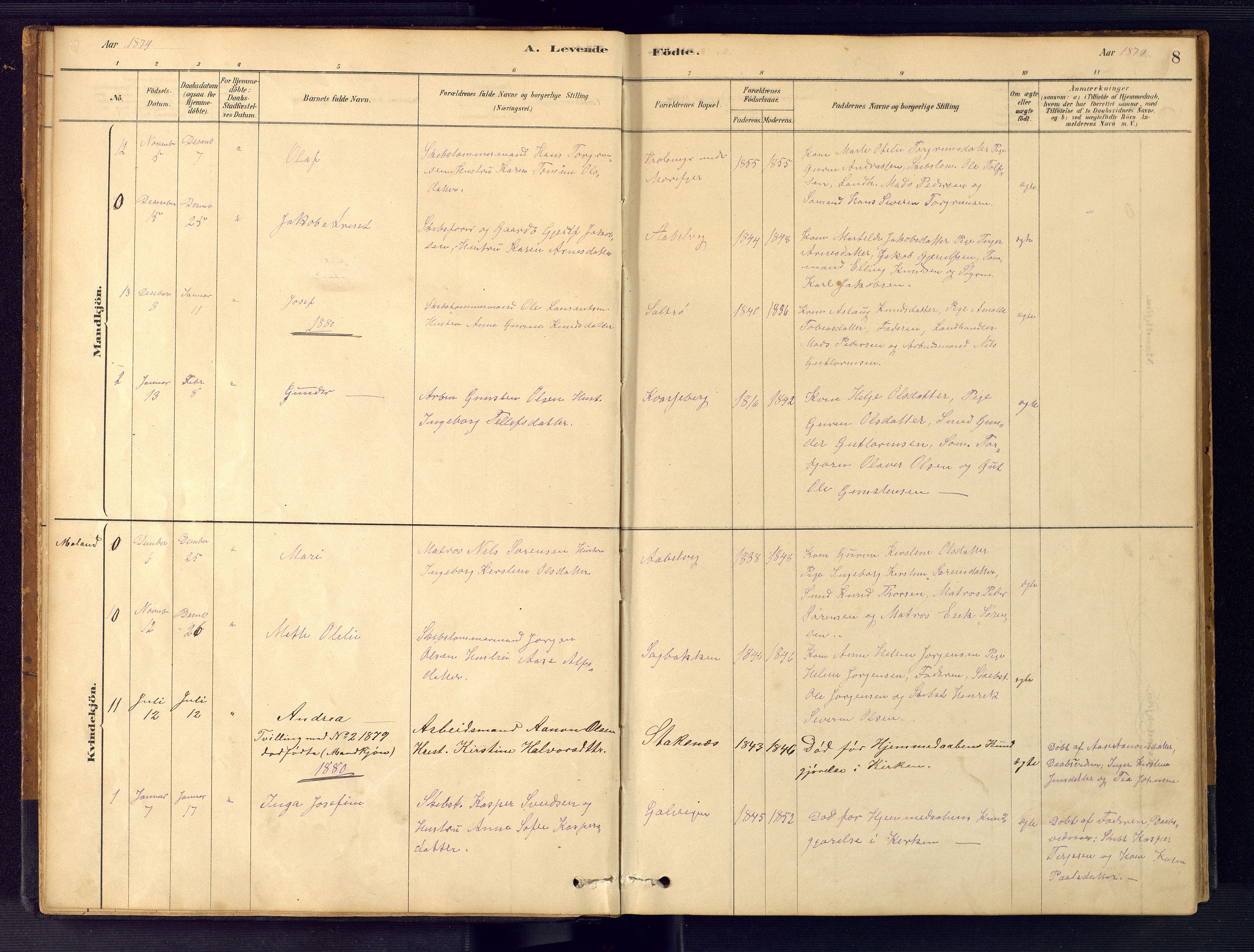 Austre Moland sokneprestkontor, AV/SAK-1111-0001/F/Fb/Fbb/L0001: Parish register (copy) no. B 1, 1878-1904, p. 8