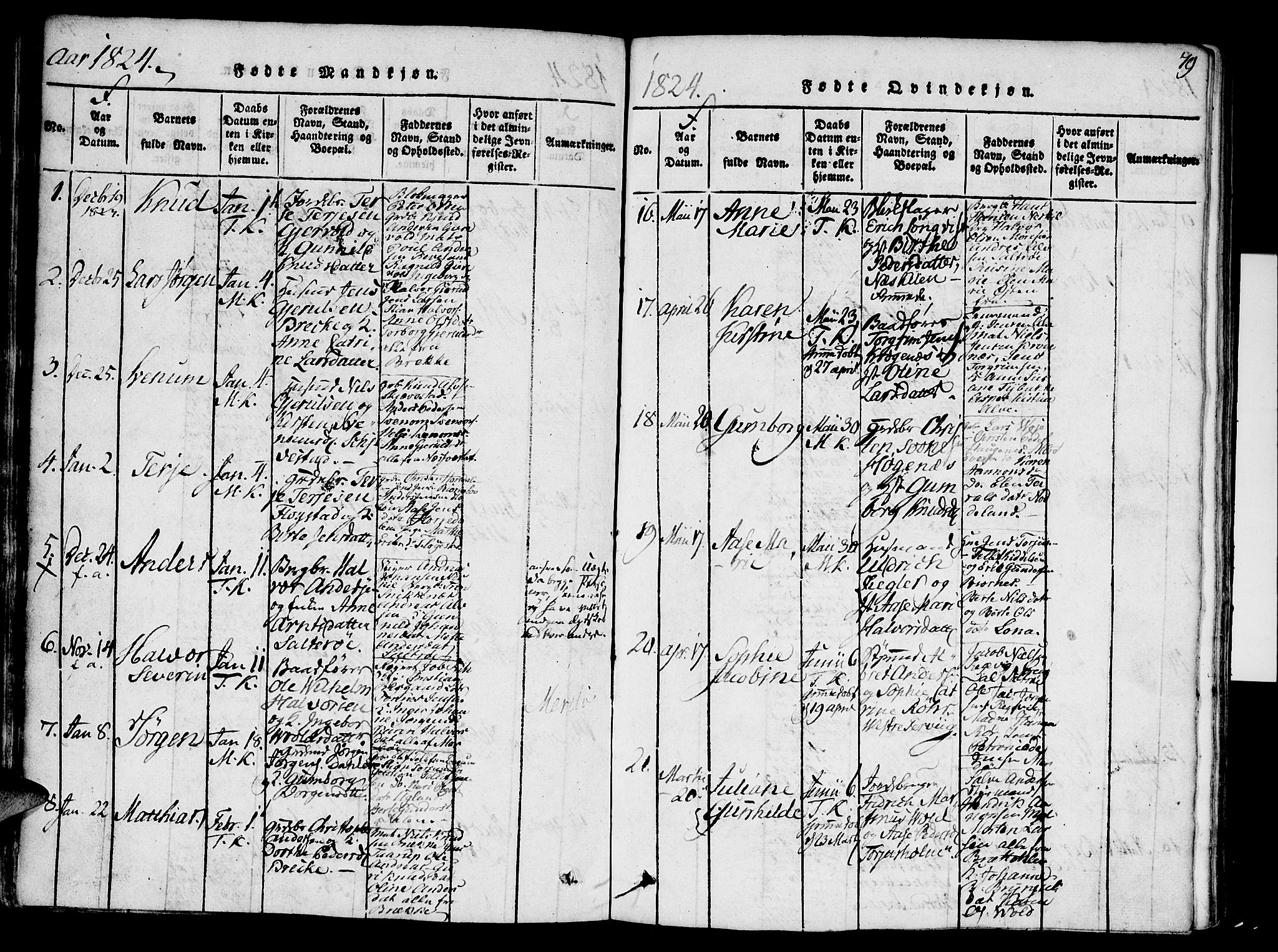 Austre Moland sokneprestkontor, AV/SAK-1111-0001/F/Fa/Faa/L0004: Parish register (official) no. A 4, 1816-1824, p. 79