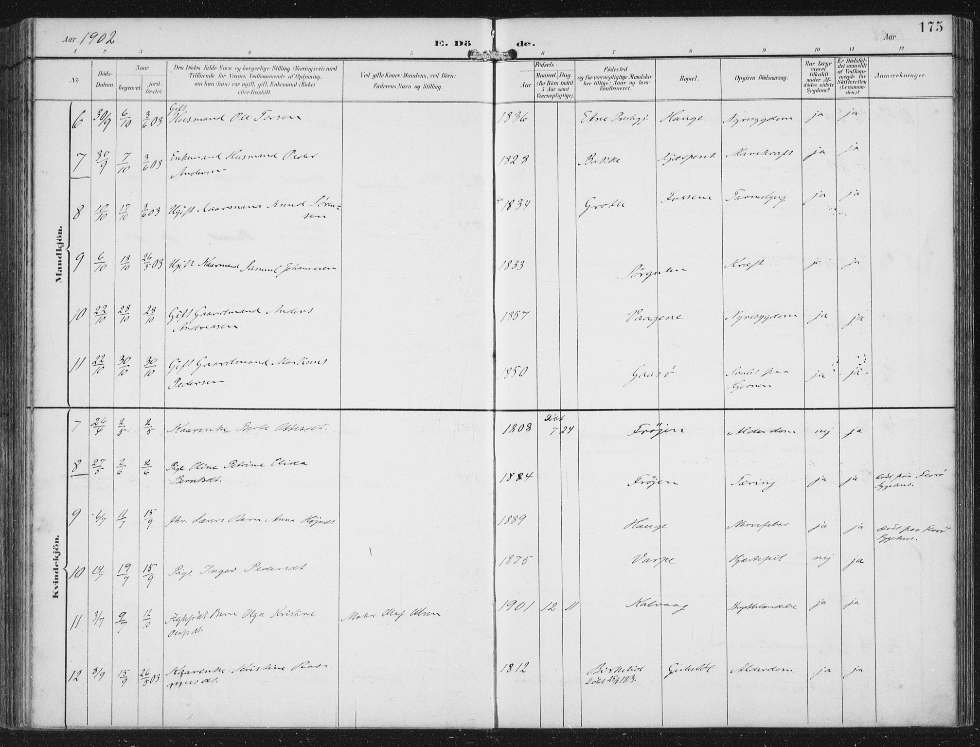 Bremanger sokneprestembete, SAB/A-82201/H/Haa/Haab/L0002: Parish register (official) no. B  2, 1896-1908, p. 175