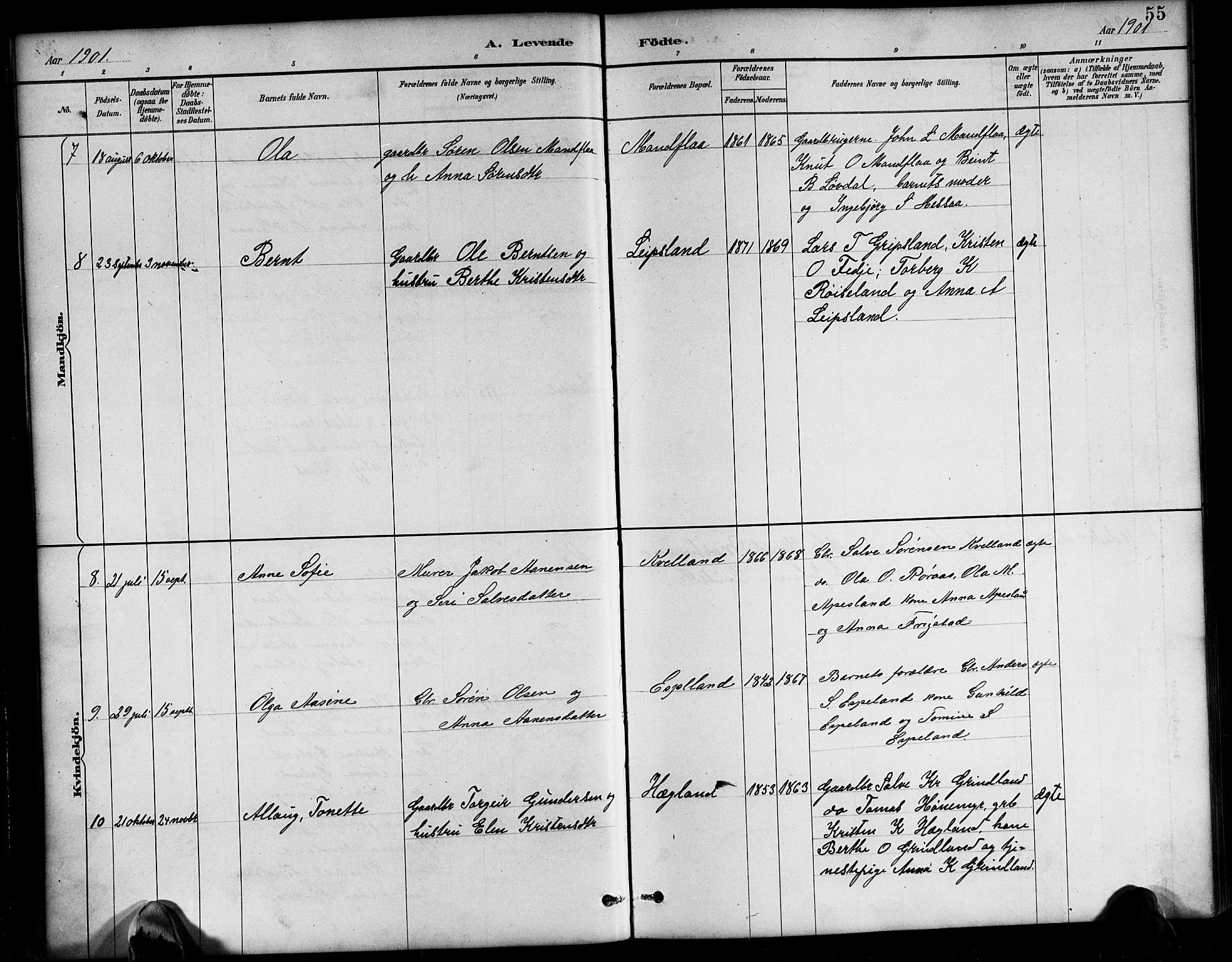 Bjelland sokneprestkontor, SAK/1111-0005/F/Fb/Fbb/L0005: Parish register (copy) no. B 5, 1887-1918, p. 55