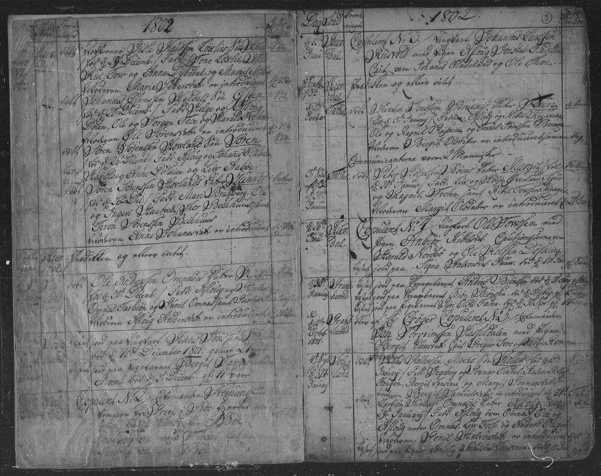 Hjartdal kirkebøker, AV/SAKO-A-270/F/Fa/L0006: Parish register (official) no. I 6, 1801-1814, p. 3