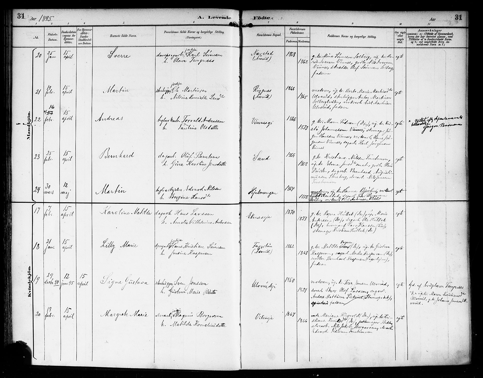 Nedre Eiker kirkebøker, AV/SAKO-A-612/F/Fa/L0004: Parish register (official) no. 4, 1893-1898, p. 31