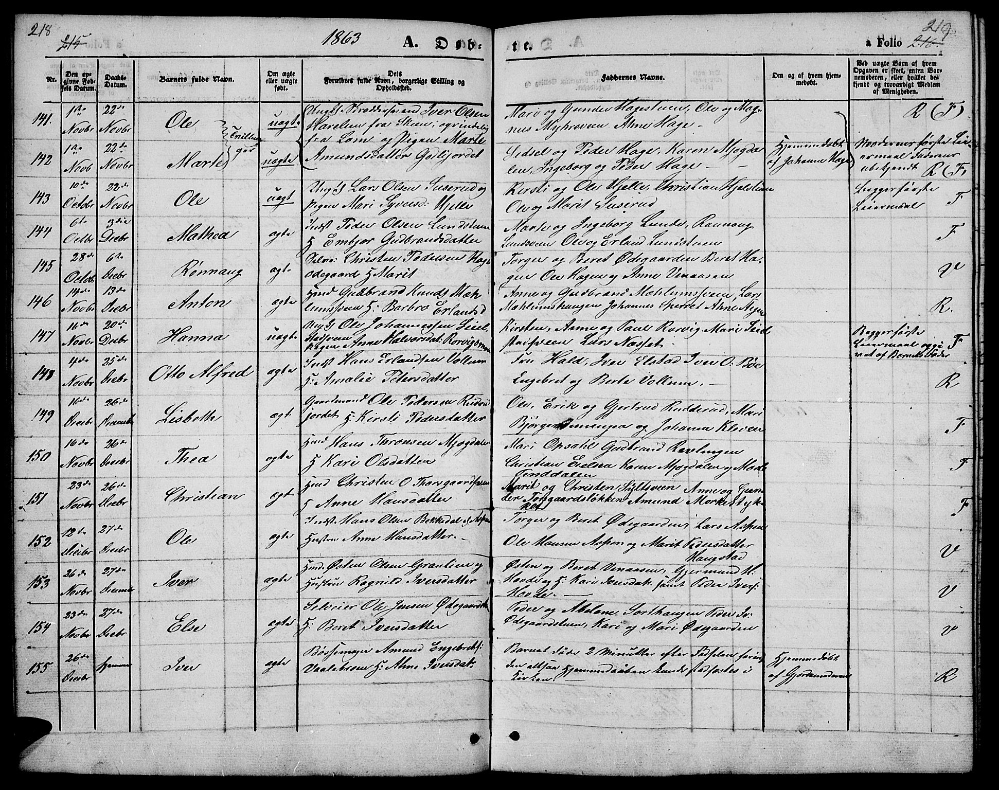 Ringebu prestekontor, SAH/PREST-082/H/Ha/Hab/L0003: Parish register (copy) no. 3, 1854-1866, p. 218-219