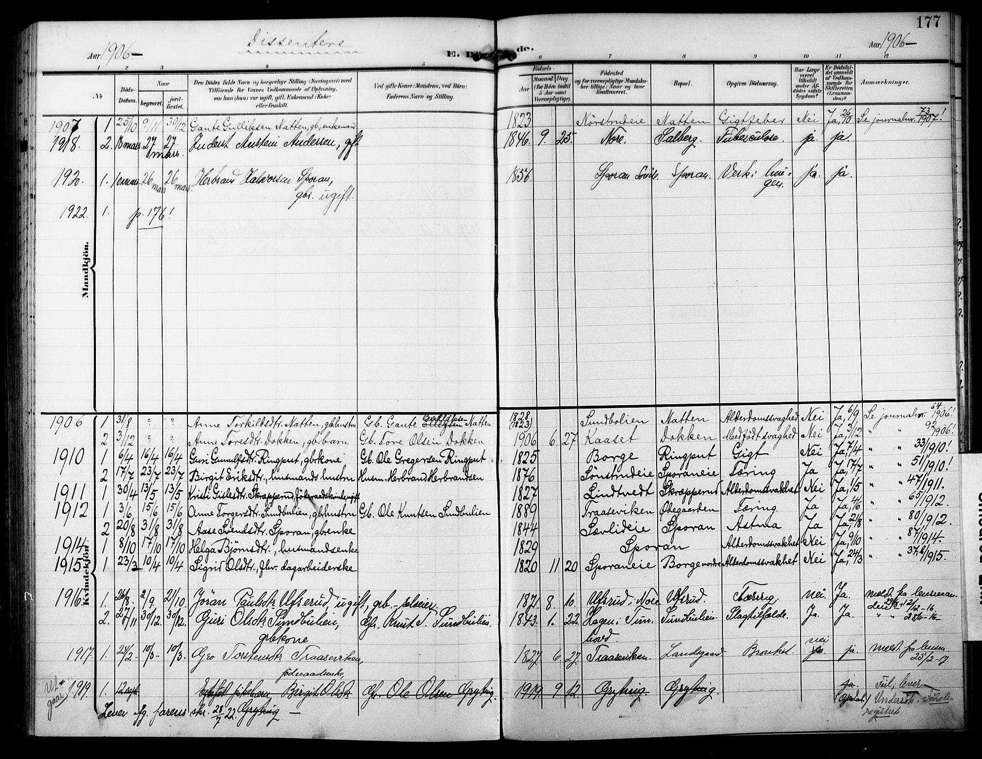 Nore kirkebøker, SAKO/A-238/F/Fb/L0003: Parish register (official) no. II 3, 1906-1926, p. 177