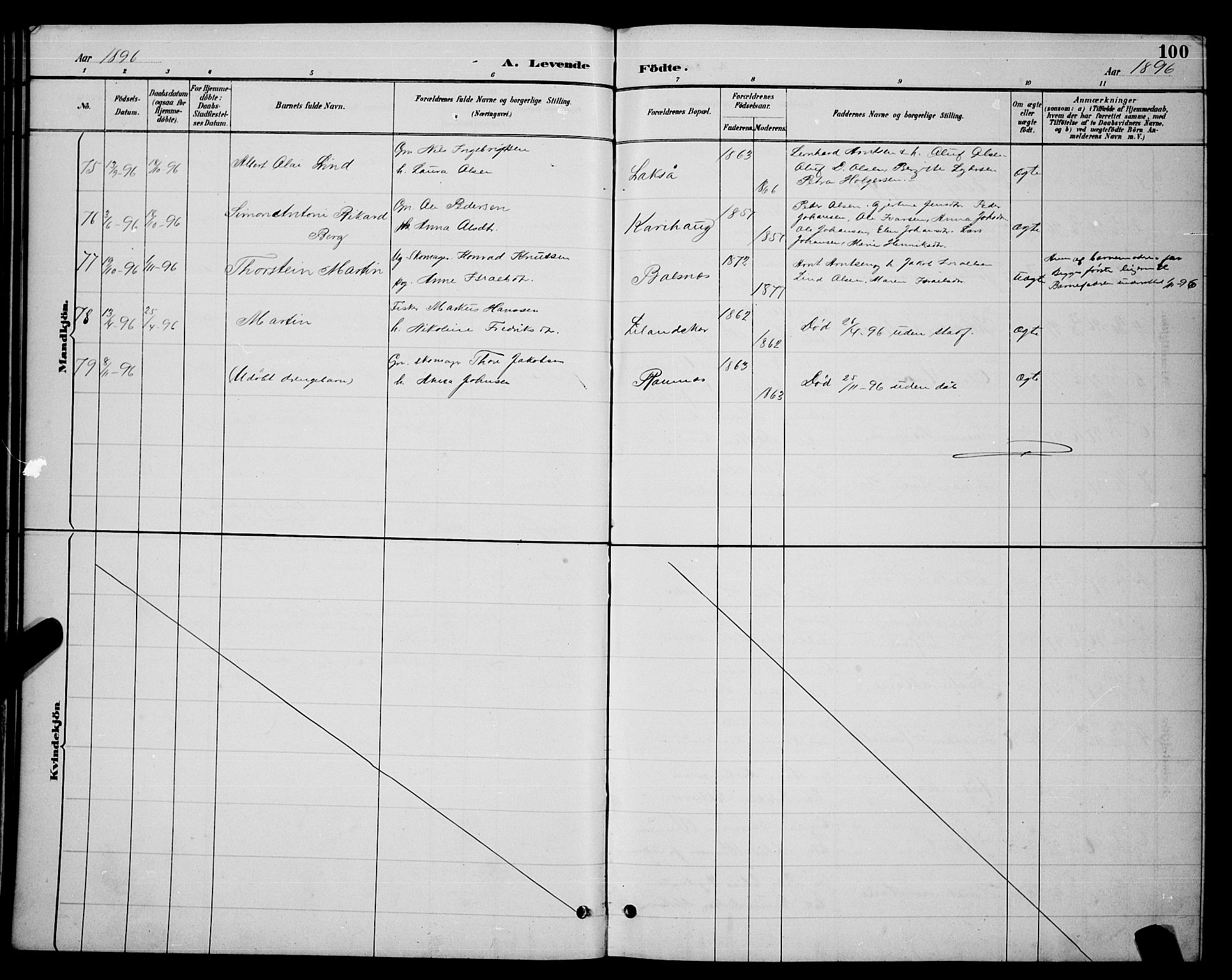 Ministerialprotokoller, klokkerbøker og fødselsregistre - Nordland, AV/SAT-A-1459/863/L0914: Parish register (copy) no. 863C04, 1886-1897, p. 100