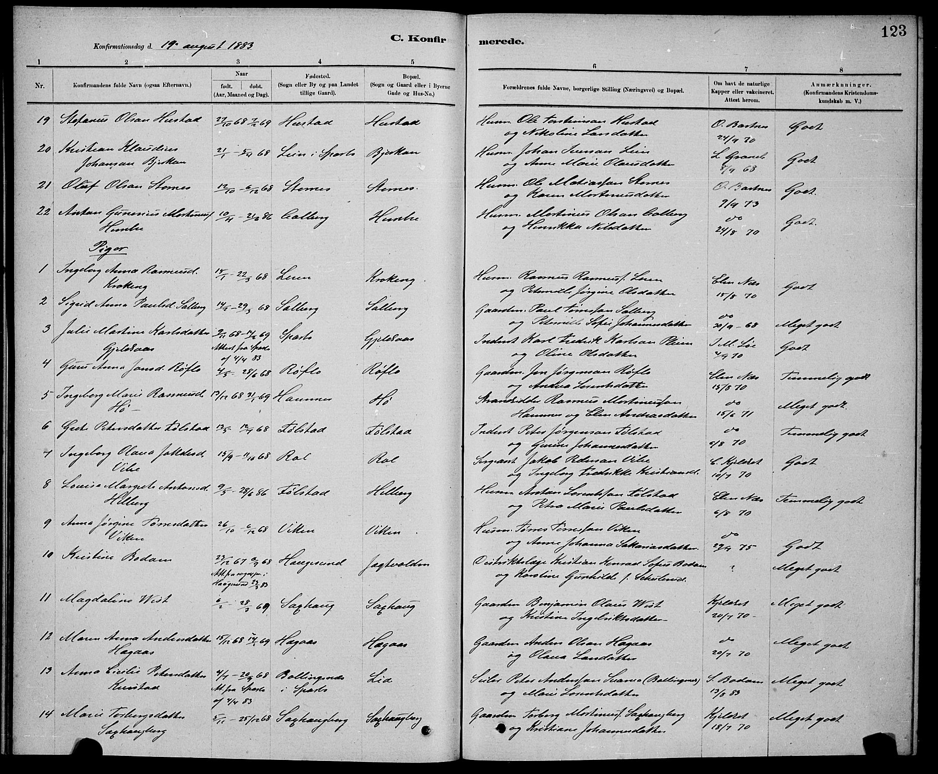 Ministerialprotokoller, klokkerbøker og fødselsregistre - Nord-Trøndelag, SAT/A-1458/730/L0301: Parish register (copy) no. 730C04, 1880-1897, p. 123