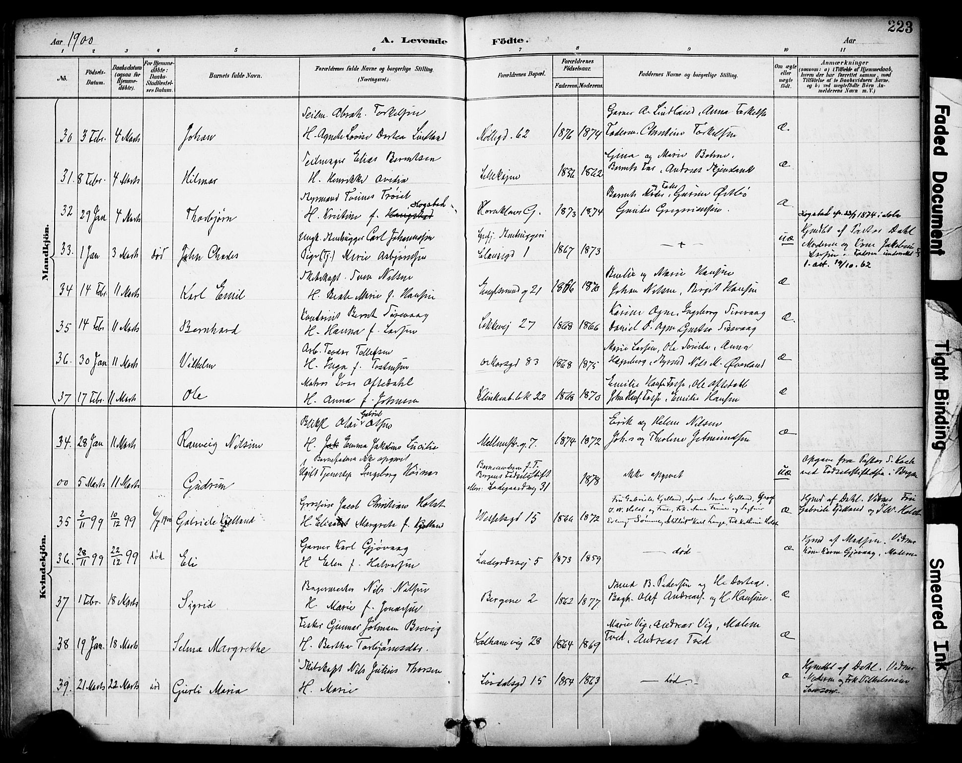 Domkirken sokneprestkontor, SAST/A-101812/001/30/30BA/L0030: Parish register (official) no. A 29, 1889-1902, p. 223