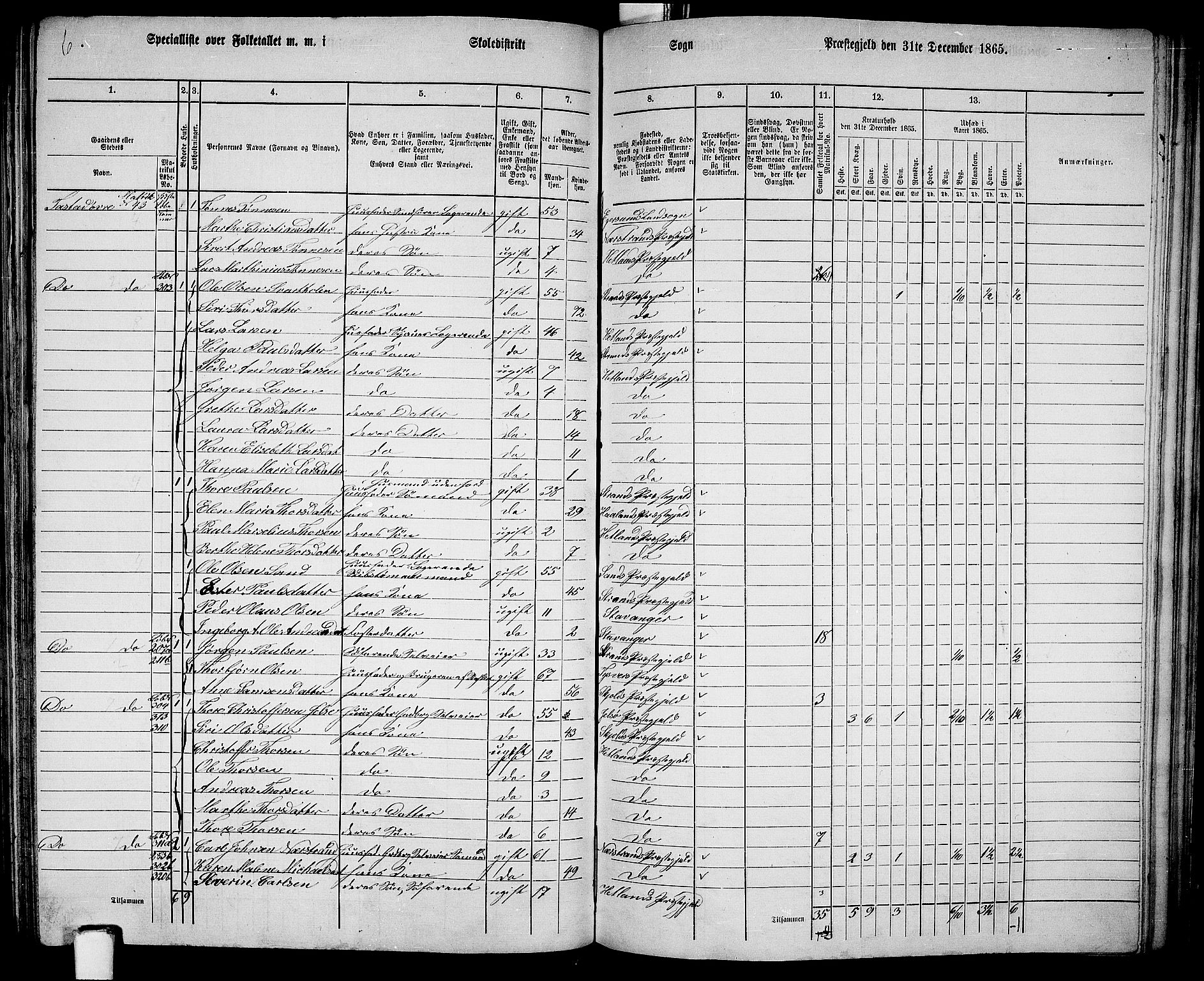 RA, 1865 census for Hetland, 1865, p. 159