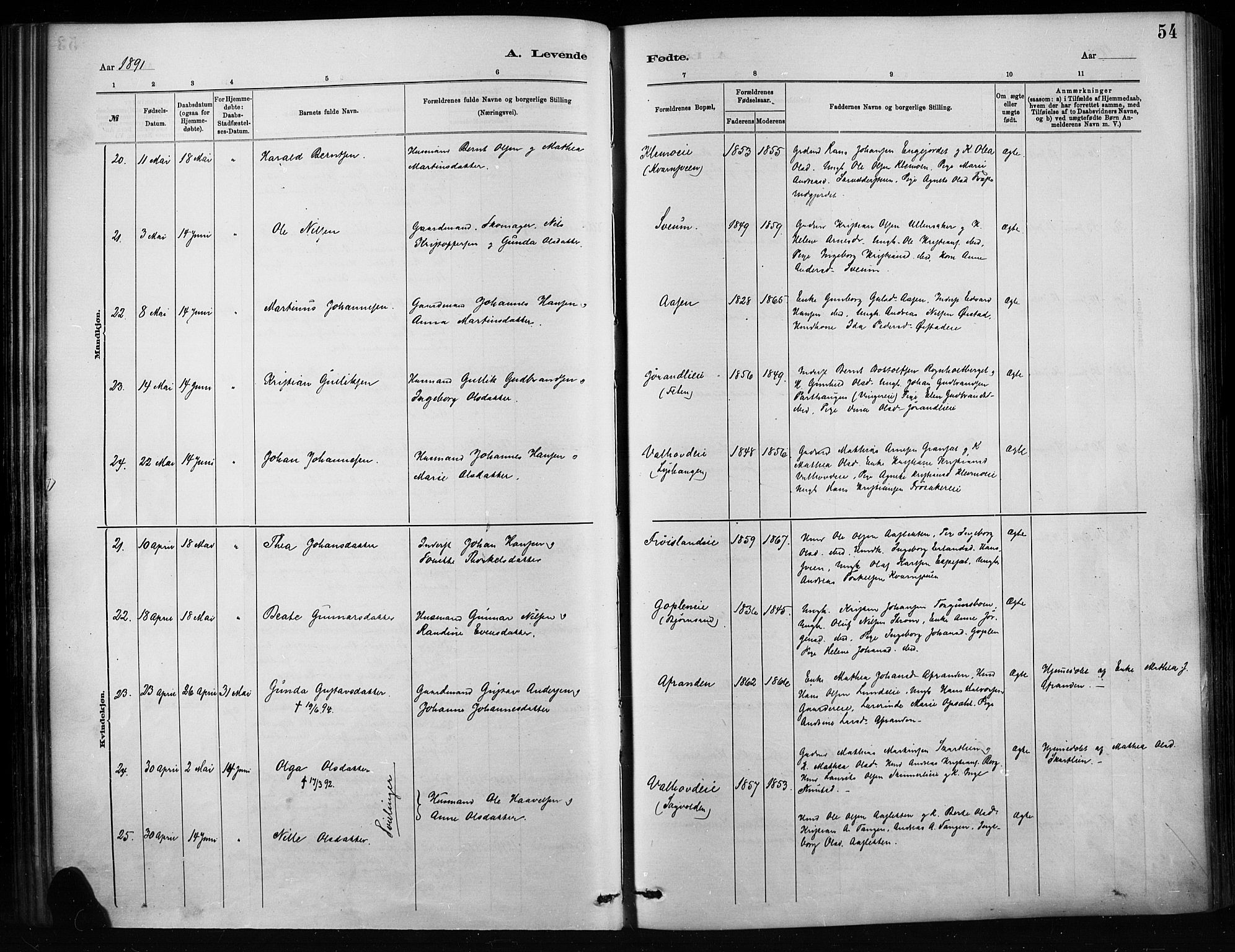 Nordre Land prestekontor, AV/SAH-PREST-124/H/Ha/Haa/L0004: Parish register (official) no. 4, 1882-1896, p. 54