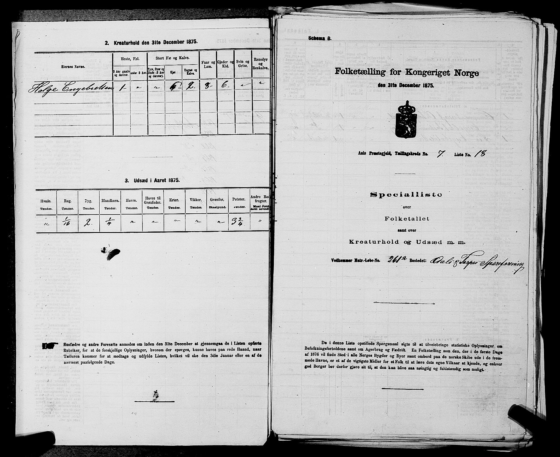 SAKO, 1875 census for 0619P Ål, 1875, p. 870