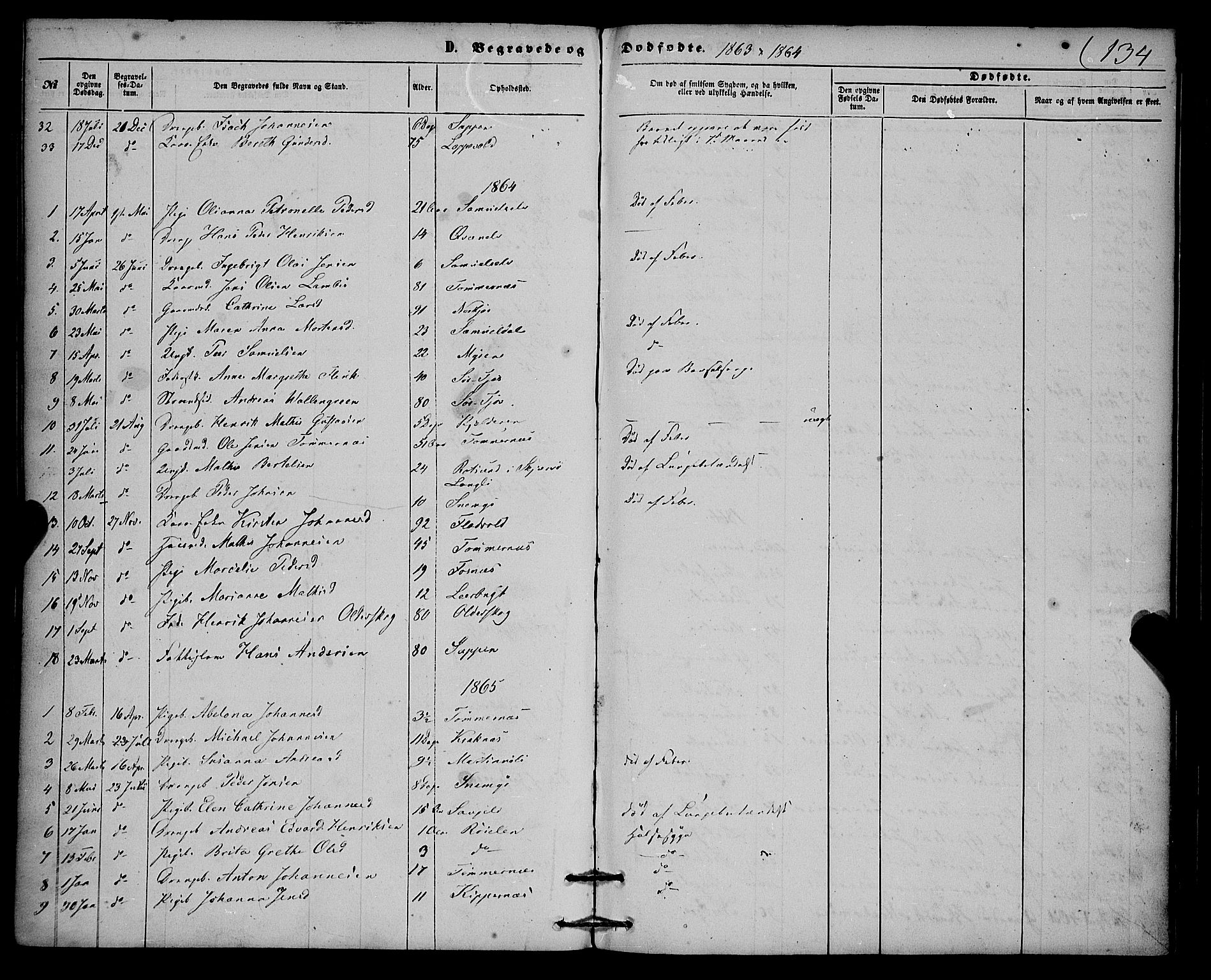 Skjervøy sokneprestkontor, SATØ/S-1300/H/Ha/Haa/L0013kirke: Parish register (official) no. 13, 1863-1877, p. 134