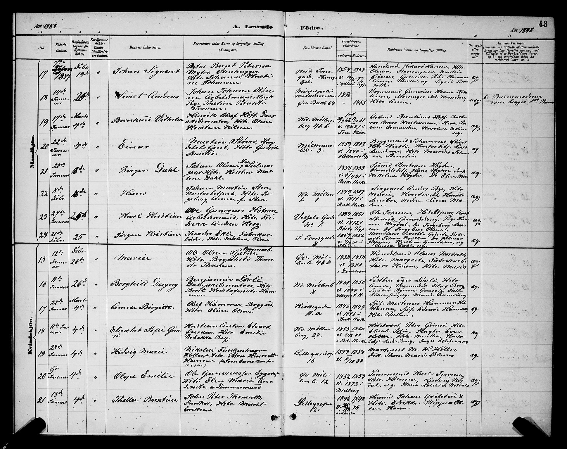 Ministerialprotokoller, klokkerbøker og fødselsregistre - Sør-Trøndelag, AV/SAT-A-1456/604/L0222: Parish register (copy) no. 604C05, 1886-1895, p. 43