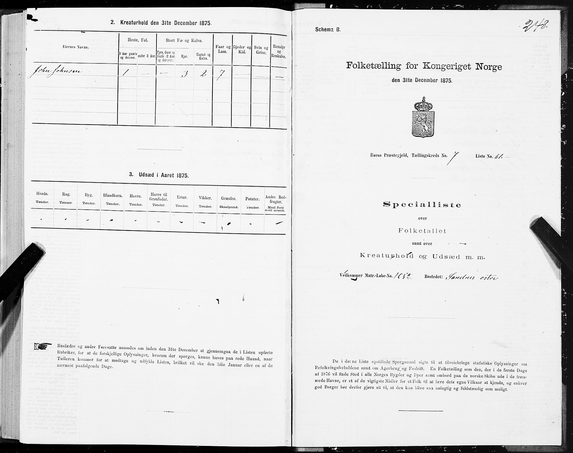 SAT, 1875 census for 1640P Røros, 1875, p. 4248