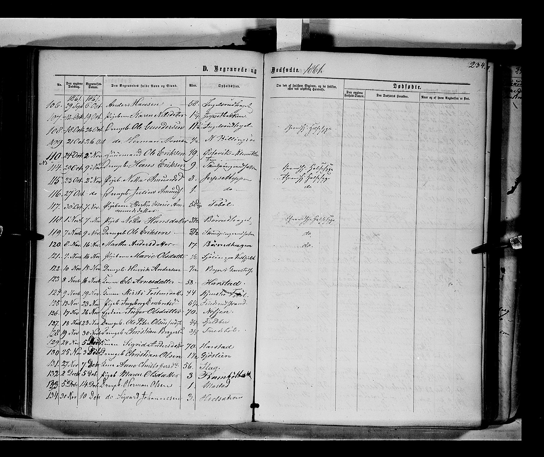 Eidskog prestekontor, AV/SAH-PREST-026/H/Ha/Haa/L0001: Parish register (official) no. 1, 1860-1867, p. 234