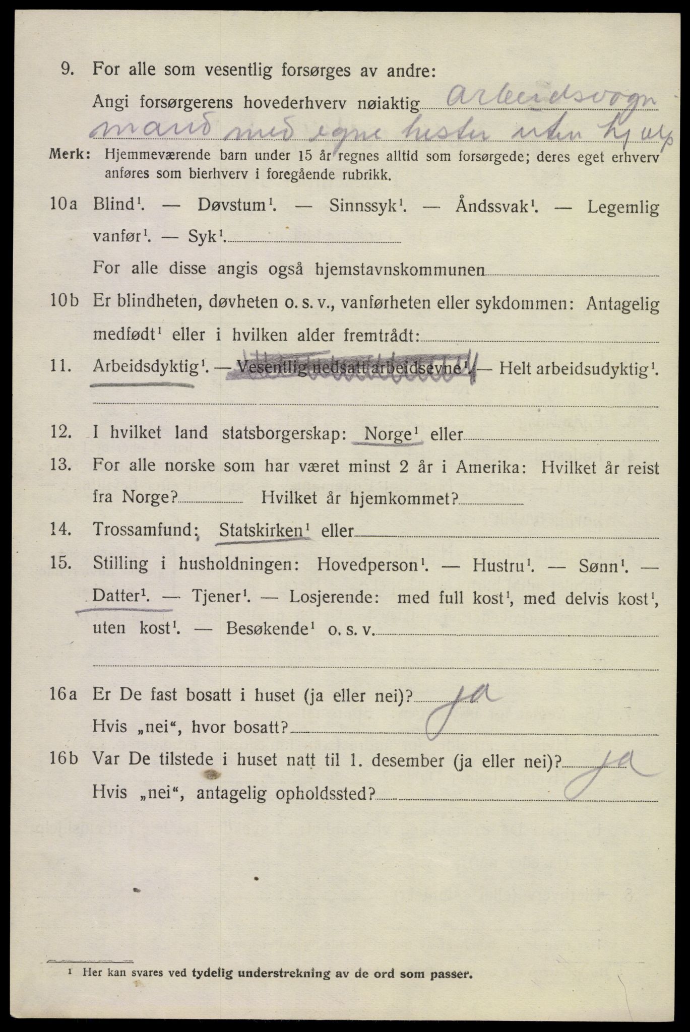 SAKO, 1920 census for Tinn, 1920, p. 16259