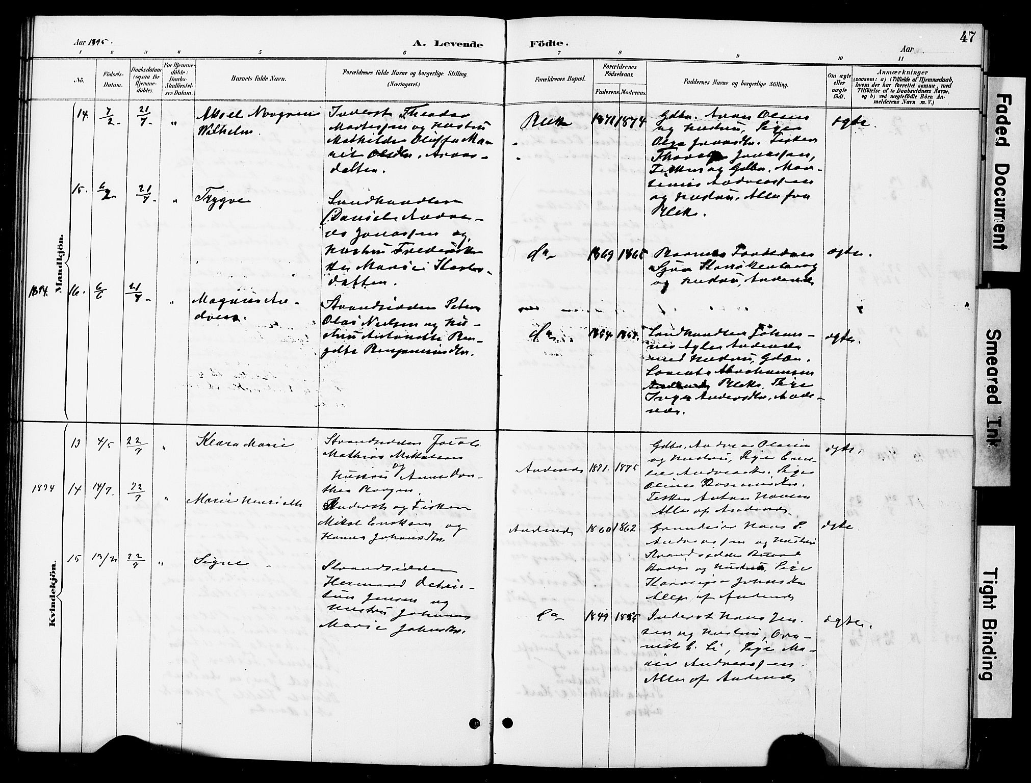 Ministerialprotokoller, klokkerbøker og fødselsregistre - Nordland, AV/SAT-A-1459/899/L1448: Parish register (copy) no. 899C03, 1887-1902, p. 47