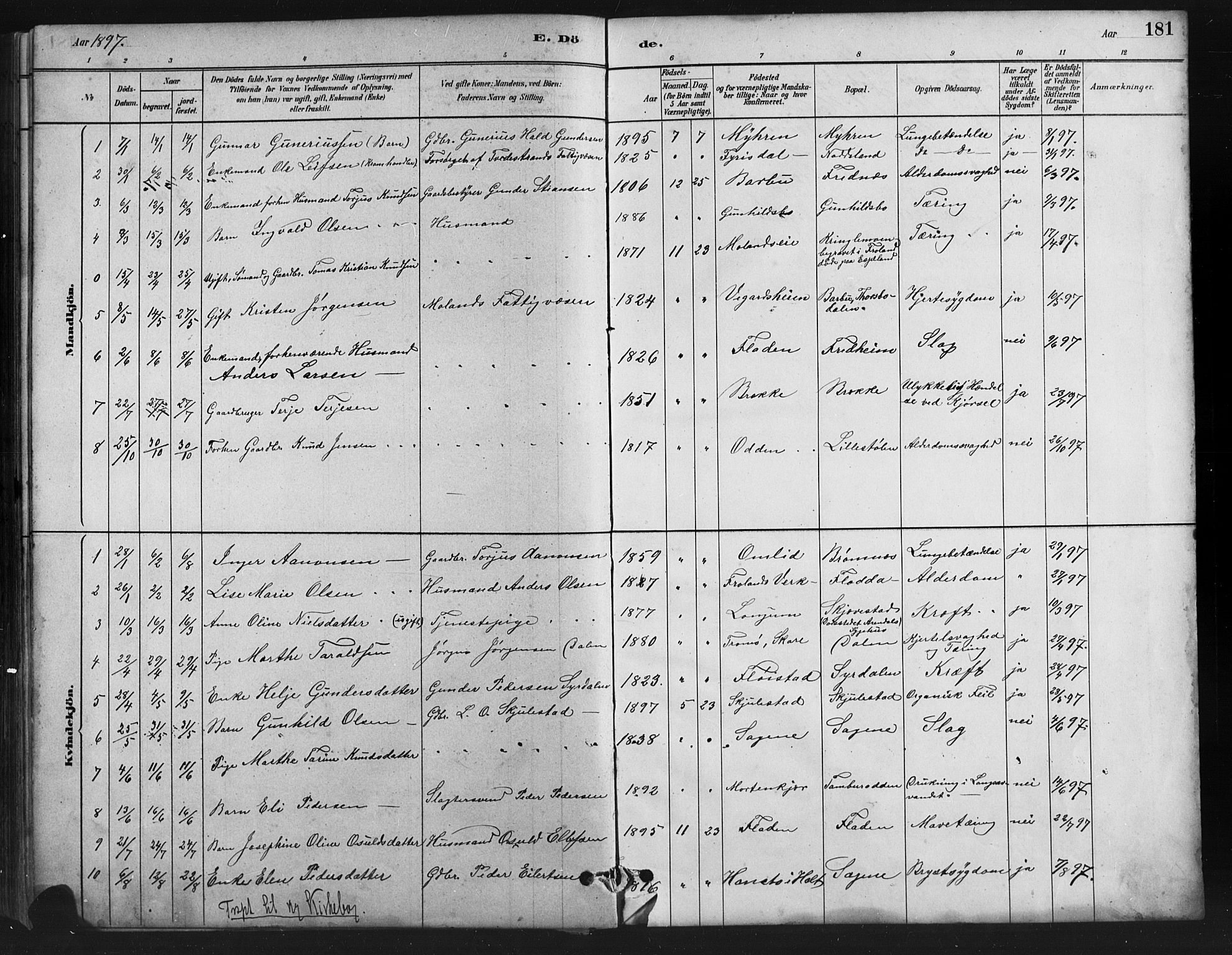 Austre Moland sokneprestkontor, AV/SAK-1111-0001/F/Fb/Fba/L0003: Parish register (copy) no. B 3, 1879-1914, p. 181