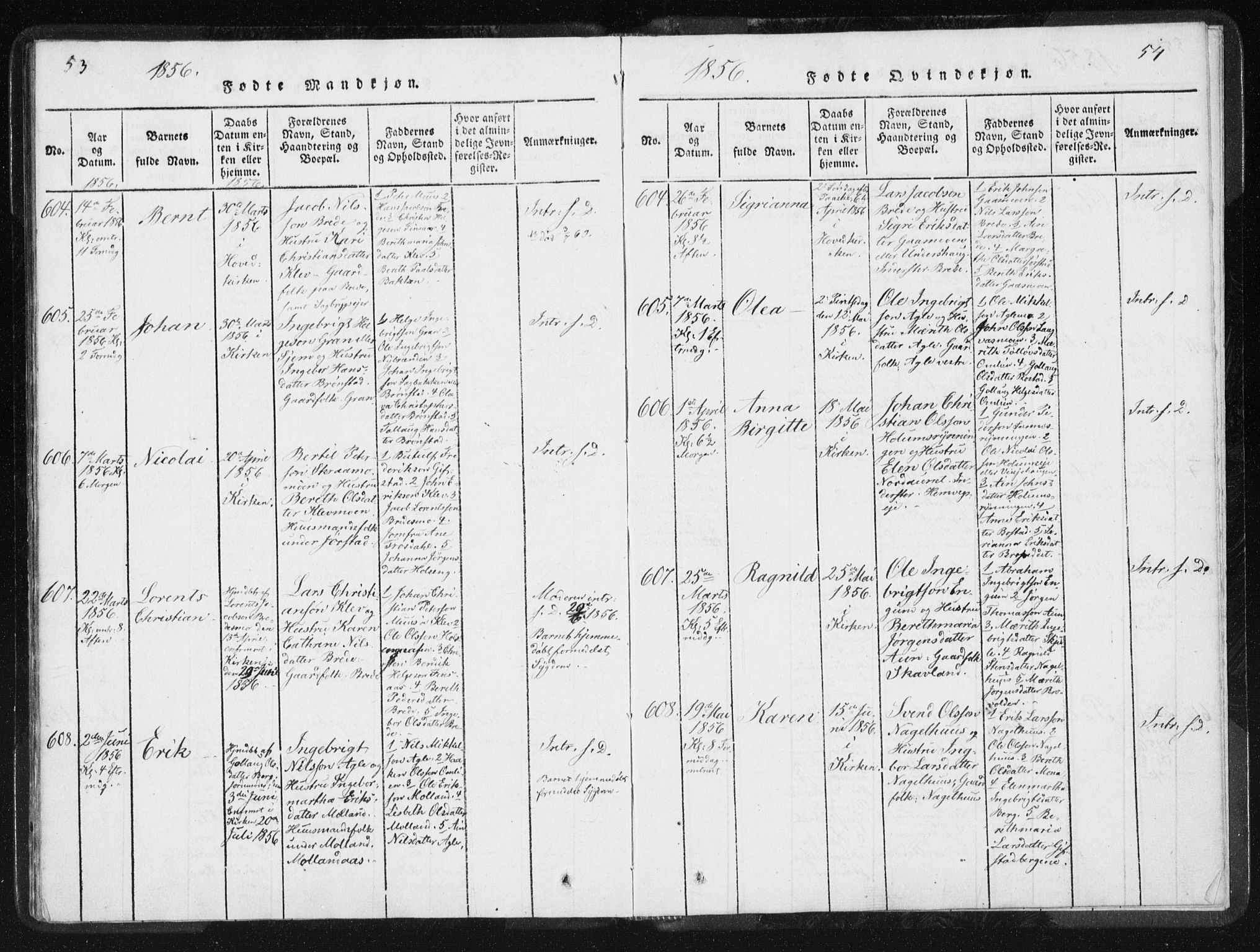 Ministerialprotokoller, klokkerbøker og fødselsregistre - Nord-Trøndelag, AV/SAT-A-1458/749/L0471: Parish register (official) no. 749A05, 1847-1856, p. 53-54