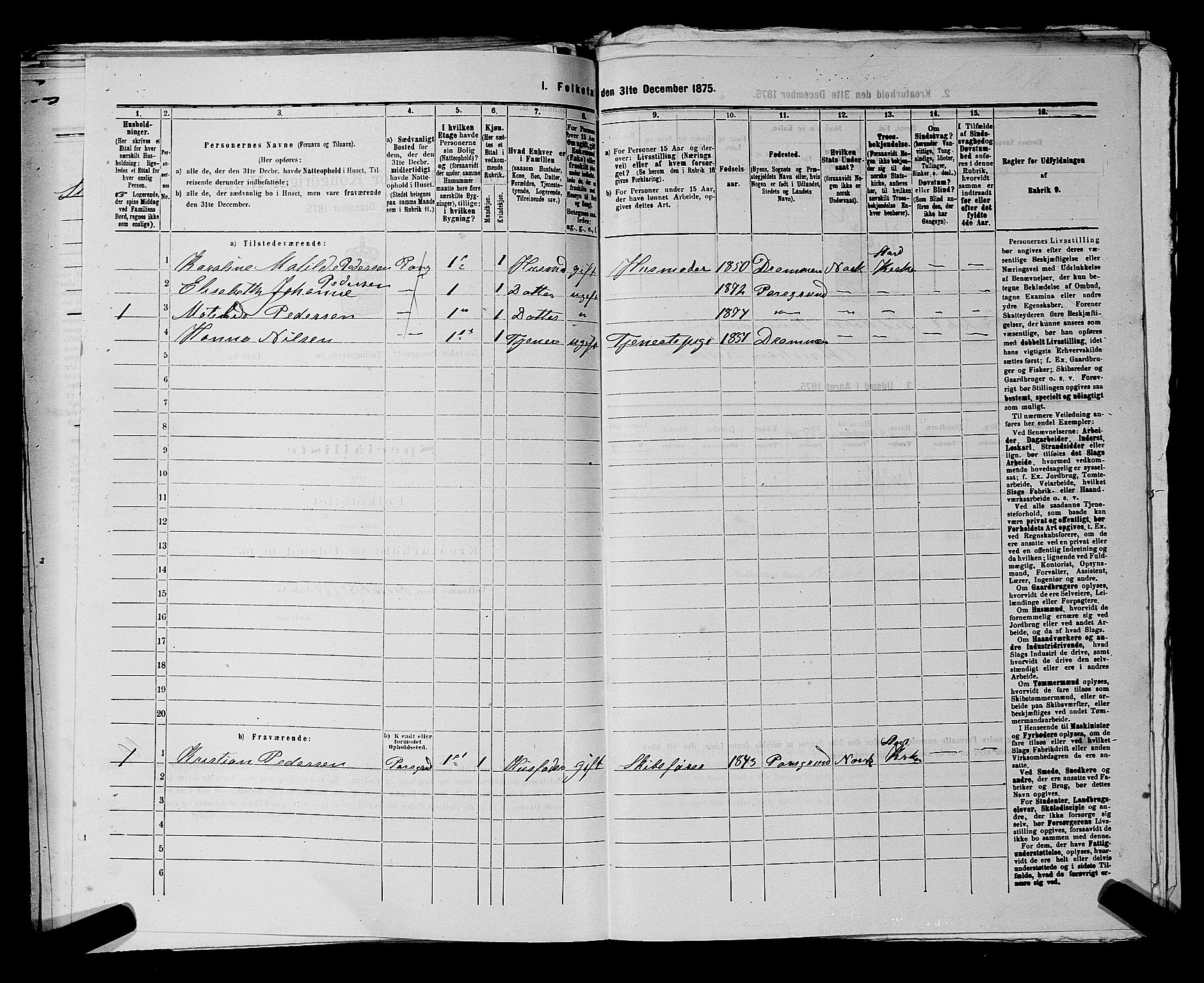 SAKO, 1875 census for 0805P Porsgrunn, 1875, p. 517