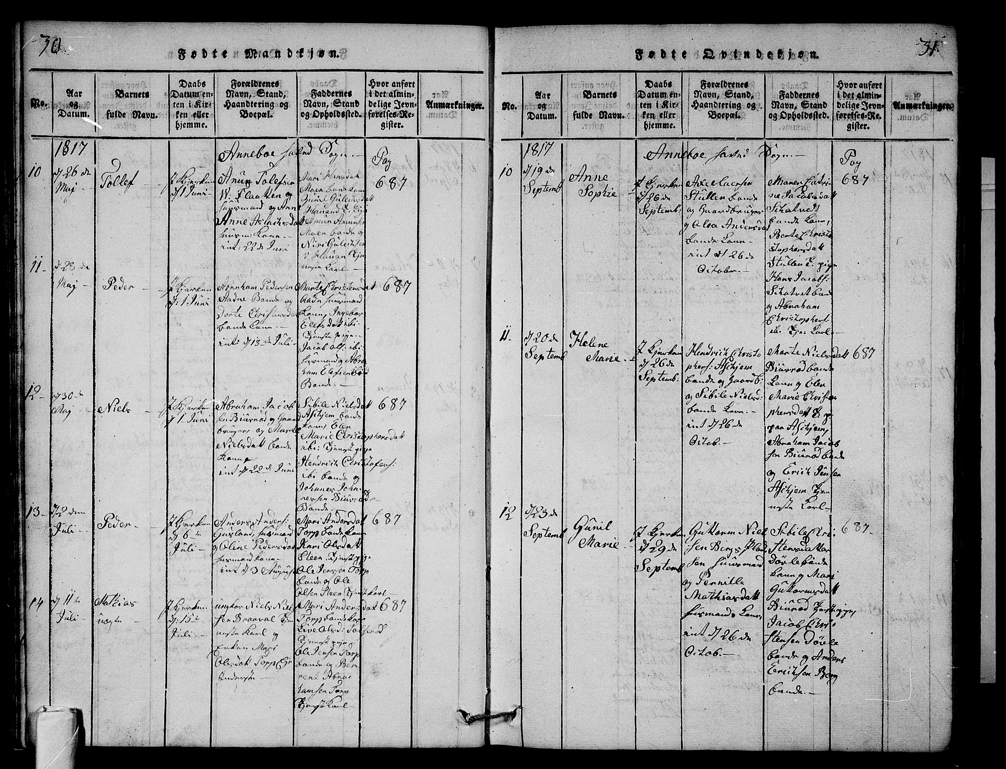 Andebu kirkebøker, AV/SAKO-A-336/G/Ga/L0001: Parish register (copy) no. I 1 /1, 1815-1823, p. 30-31