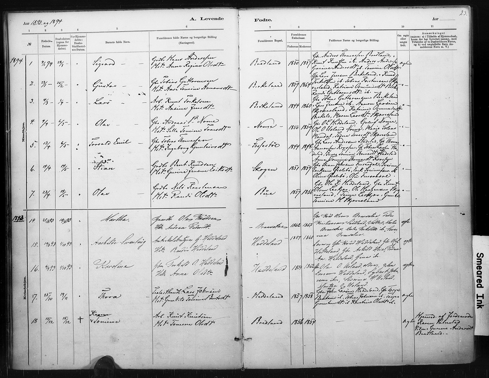 Holum sokneprestkontor, AV/SAK-1111-0022/F/Fa/Fac/L0004: Parish register (official) no. A 4, 1884-1907, p. 23