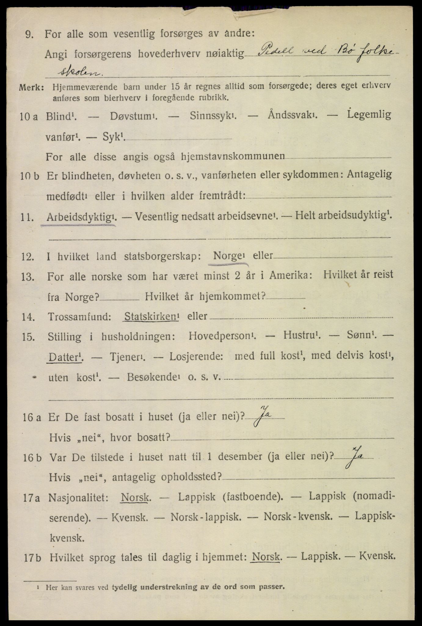 SAT, 1920 census for Bø, 1920, p. 9983