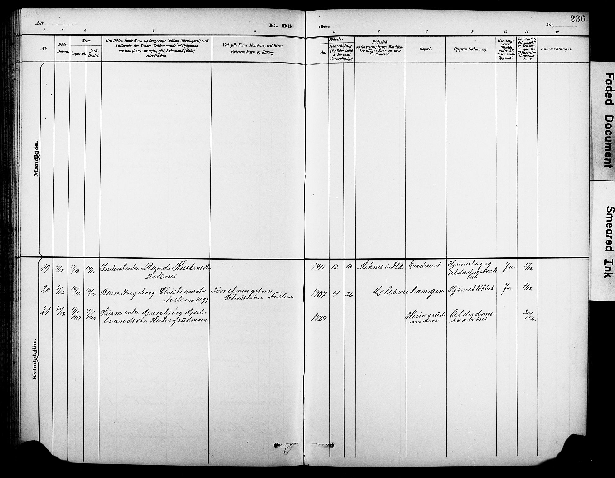 Krødsherad kirkebøker, SAKO/A-19/G/Ga/L0002: Parish register (copy) no. 2, 1894-1918, p. 236