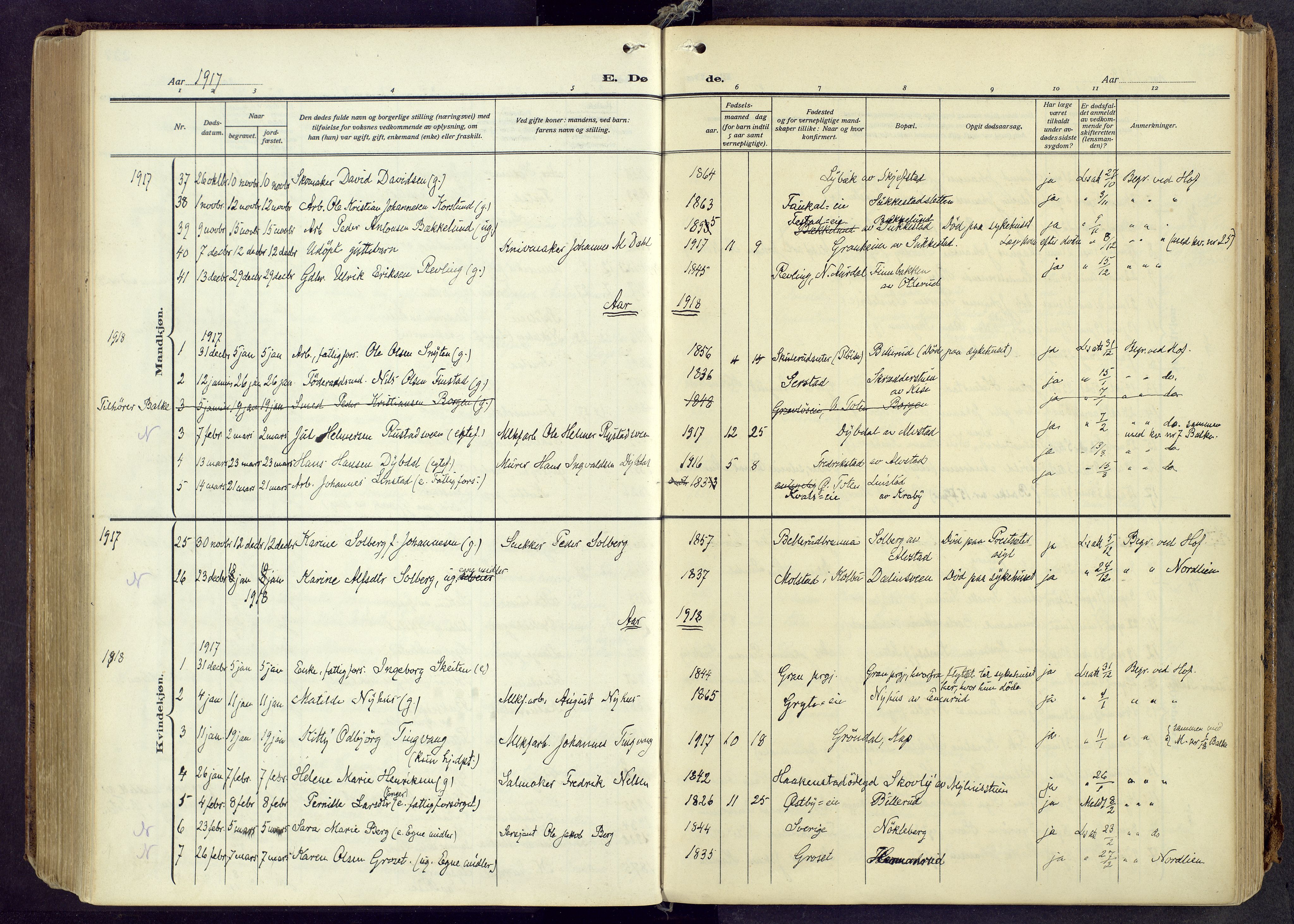 Østre Toten prestekontor, AV/SAH-PREST-104/H/Ha/Haa/L0010: Parish register (official) no. 10, 1910-1920