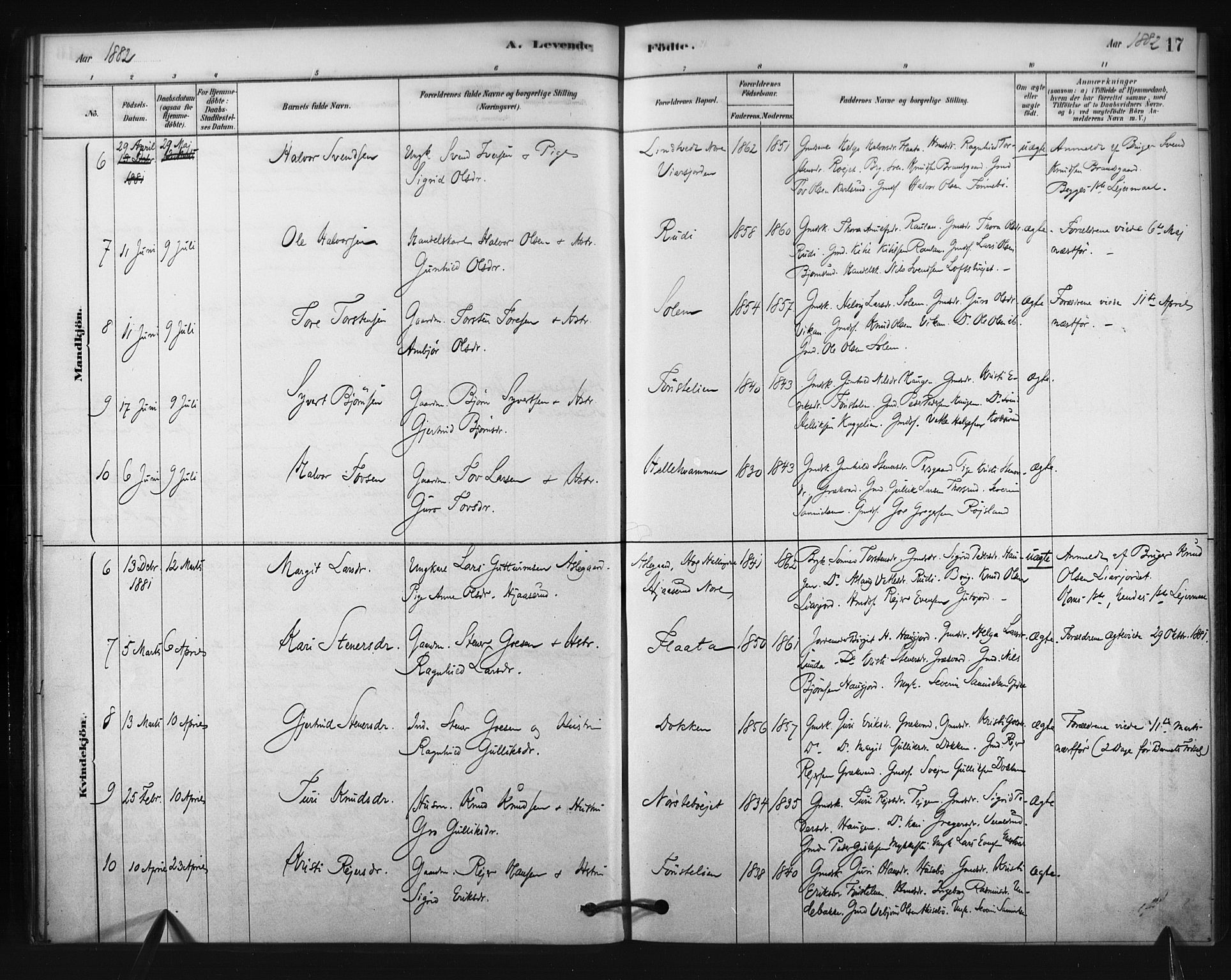 Nore kirkebøker, SAKO/A-238/F/Fc/L0003: Parish register (official) no. III 3, 1878-1884, p. 17