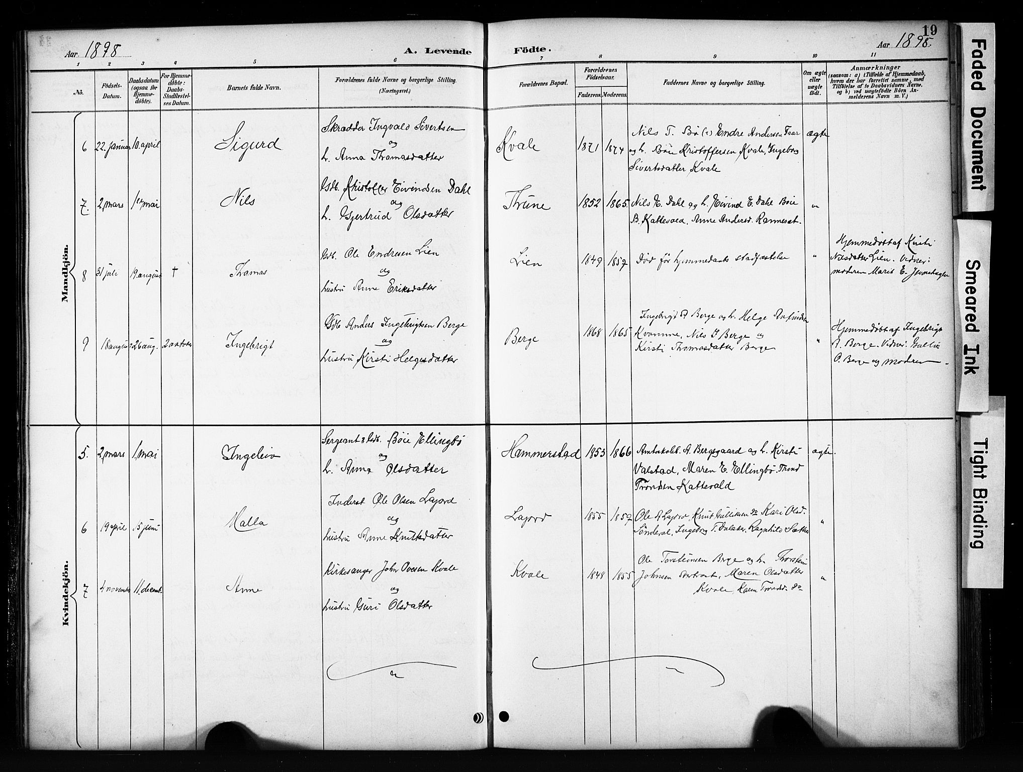 Vang prestekontor, Valdres, AV/SAH-PREST-140/H/Hb/L0006: Parish register (copy) no. 6, 1893-1918, p. 19