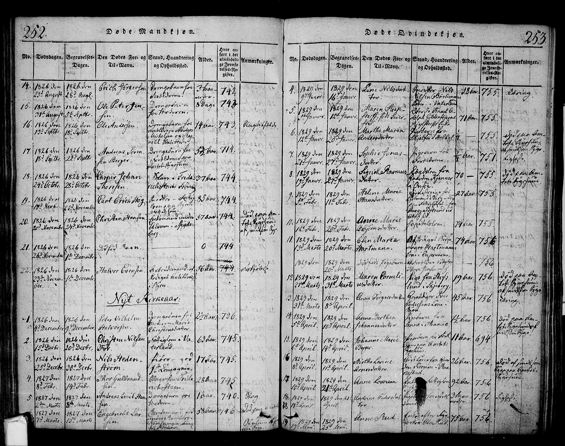 Fredrikstad prestekontor Kirkebøker, SAO/A-11082/F/Fa/L0004: Parish register (official) no. 4, 1816-1834, p. 252-253