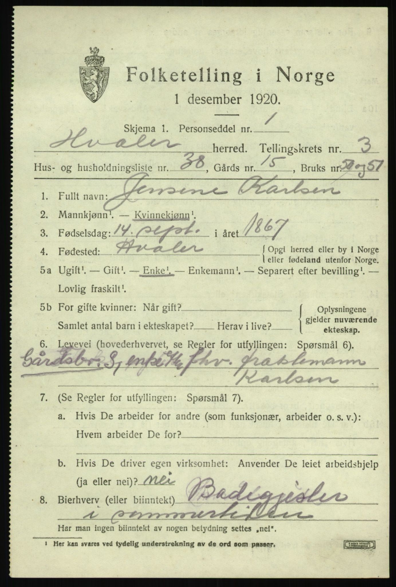 SAO, 1920 census for Hvaler, 1920, p. 4342