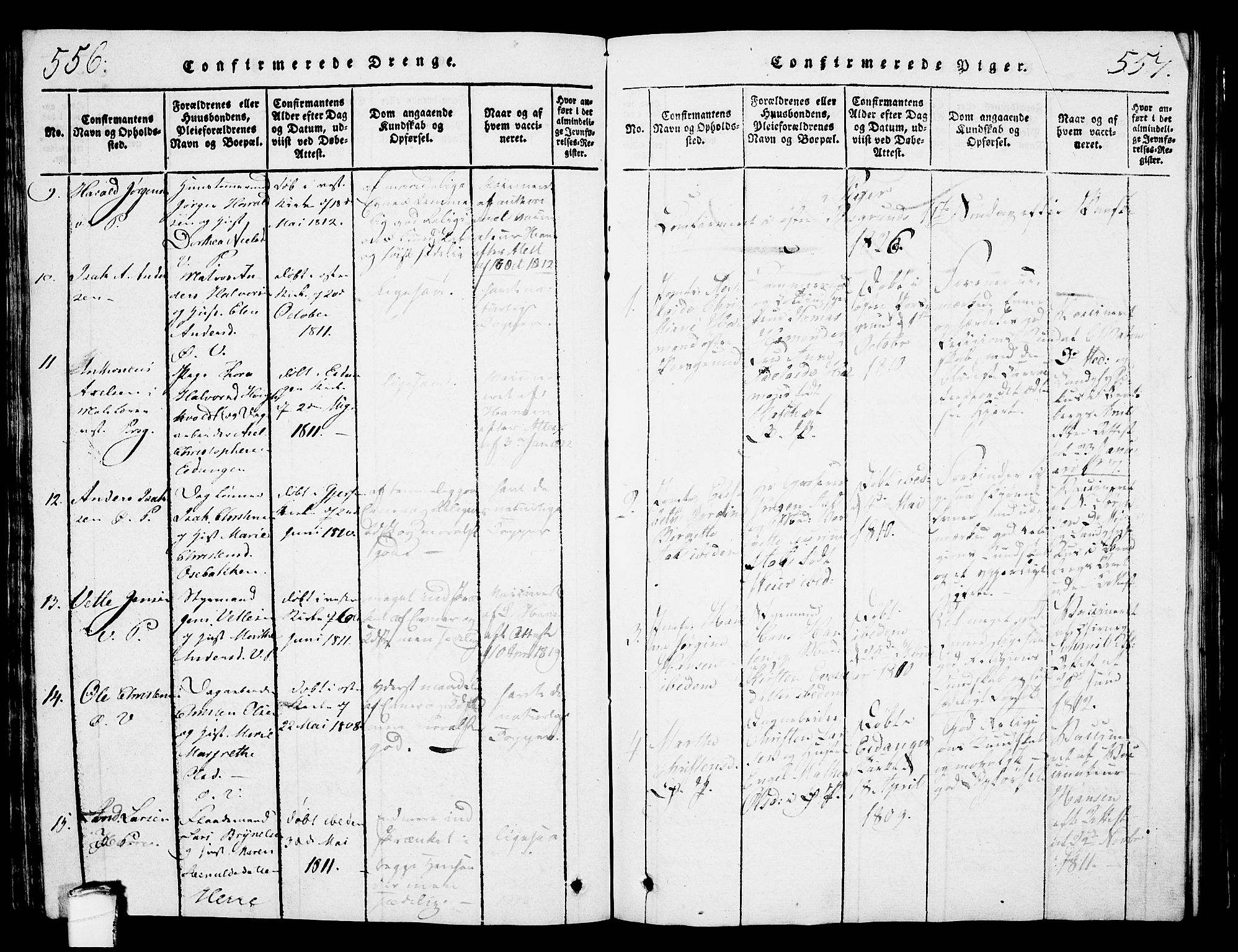 Porsgrunn kirkebøker , SAKO/A-104/G/Gb/L0001: Parish register (copy) no. II 1, 1817-1828, p. 556-557