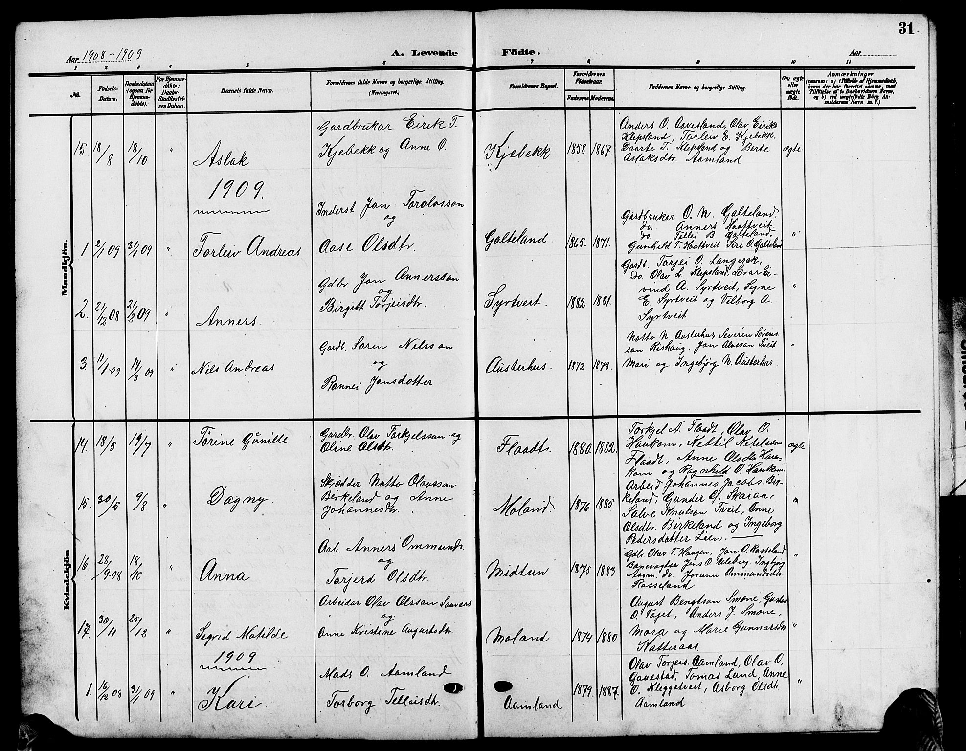 Evje sokneprestkontor, AV/SAK-1111-0008/F/Fb/Fba/L0004: Parish register (copy) no. B 4, 1899-1914, p. 31