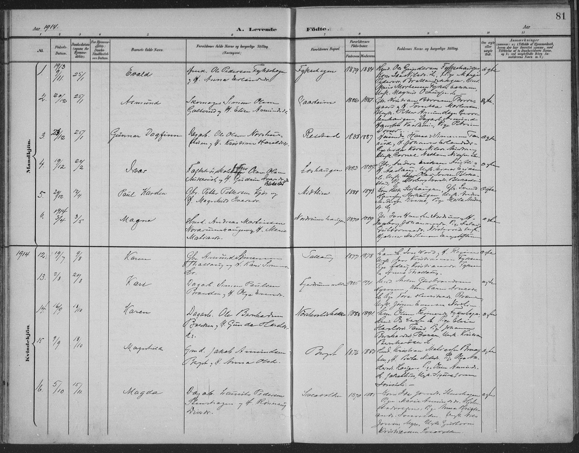 Østre Gausdal prestekontor, AV/SAH-PREST-092/H/Ha/Haa/L0004: Parish register (official) no. 4, 1898-1914, p. 81