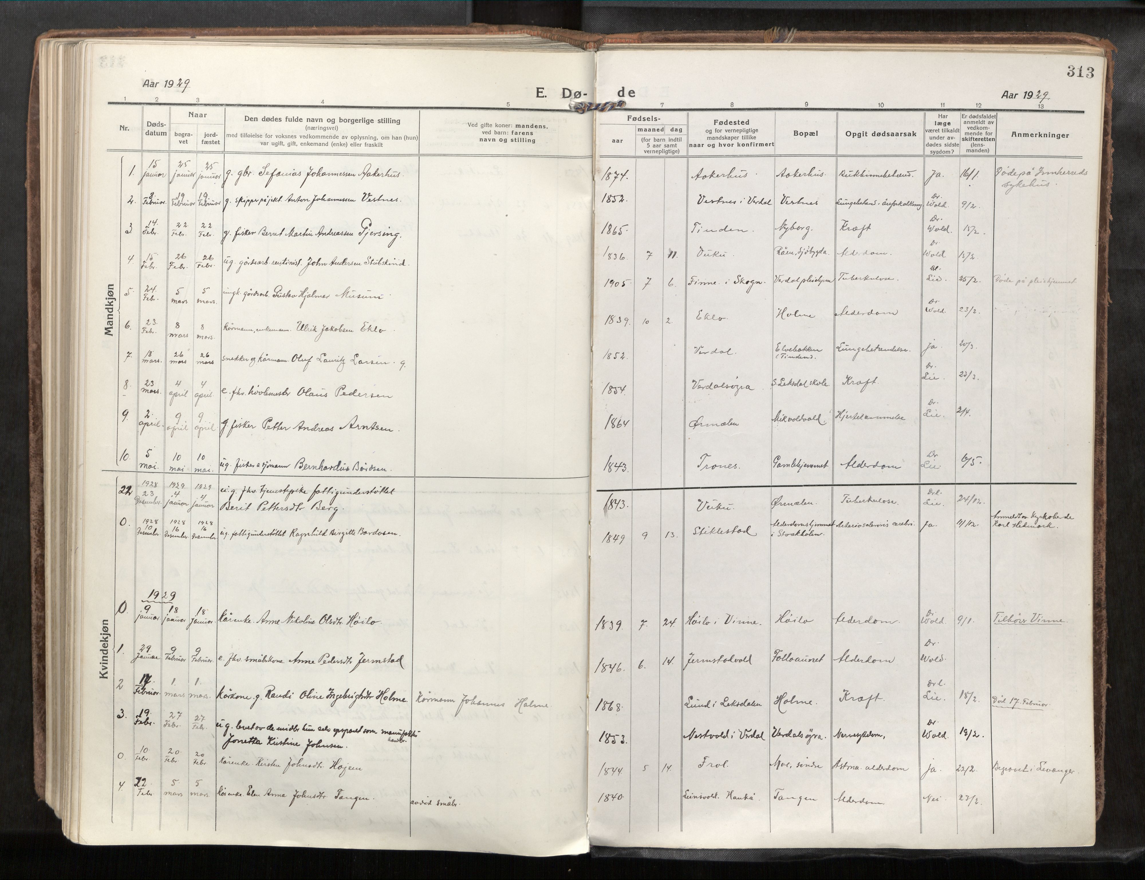 Verdal sokneprestkontor, SAT/A-1156/2/H/Haa/L0001: Parish register (official) no. 1, 1917-1932, p. 313