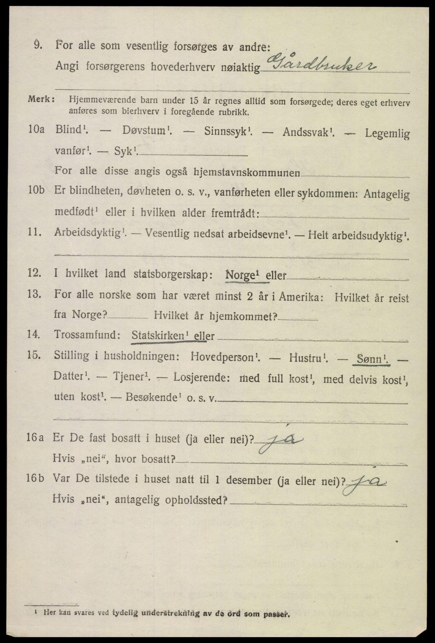 SAK, 1920 census for Hornnes, 1920, p. 2038