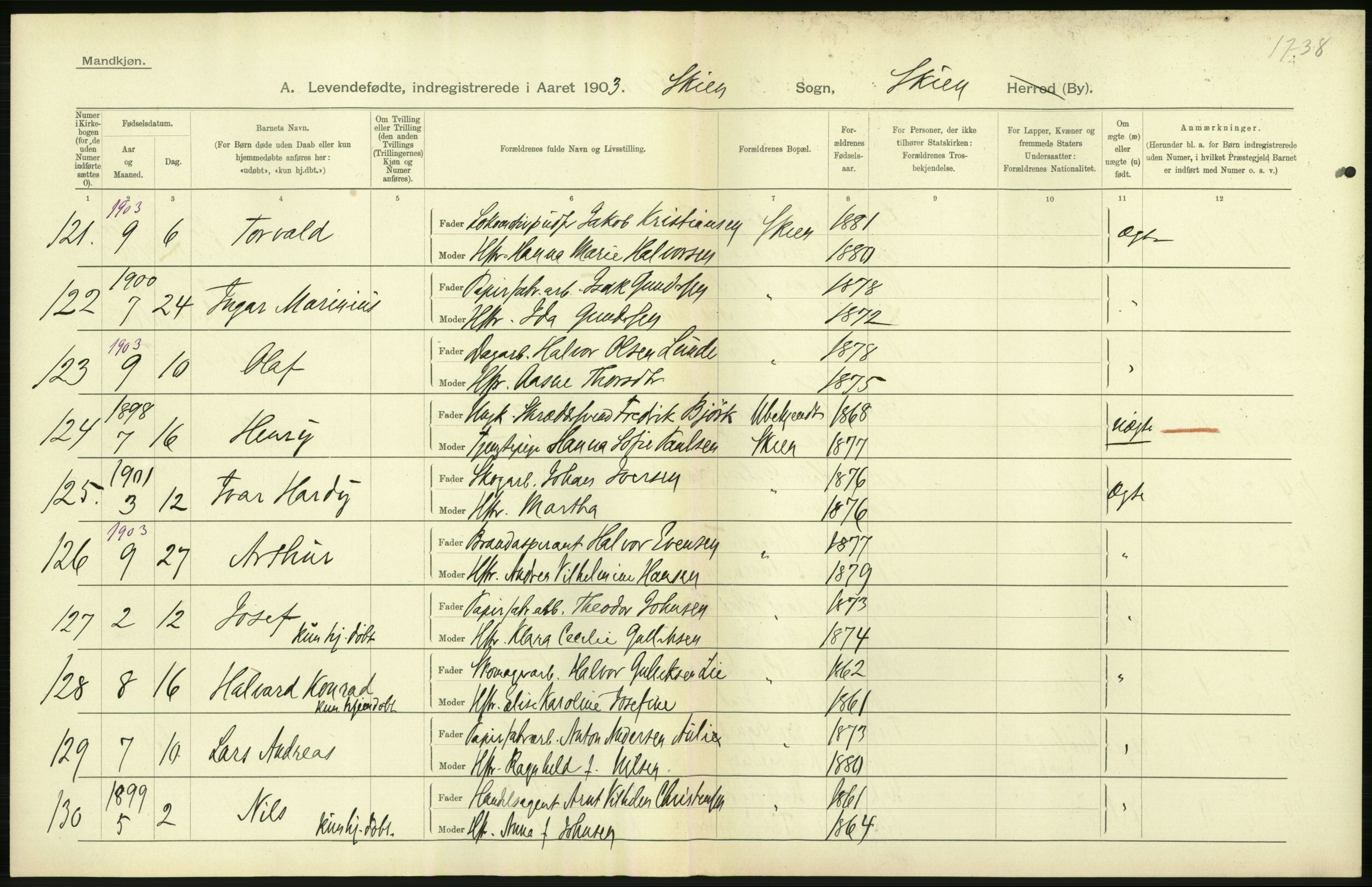 Statistisk sentralbyrå, Sosiodemografiske emner, Befolkning, AV/RA-S-2228/D/Df/Dfa/Dfaa/L0009: Bratsberg amt: Fødte, gifte, døde, 1903, p. 288